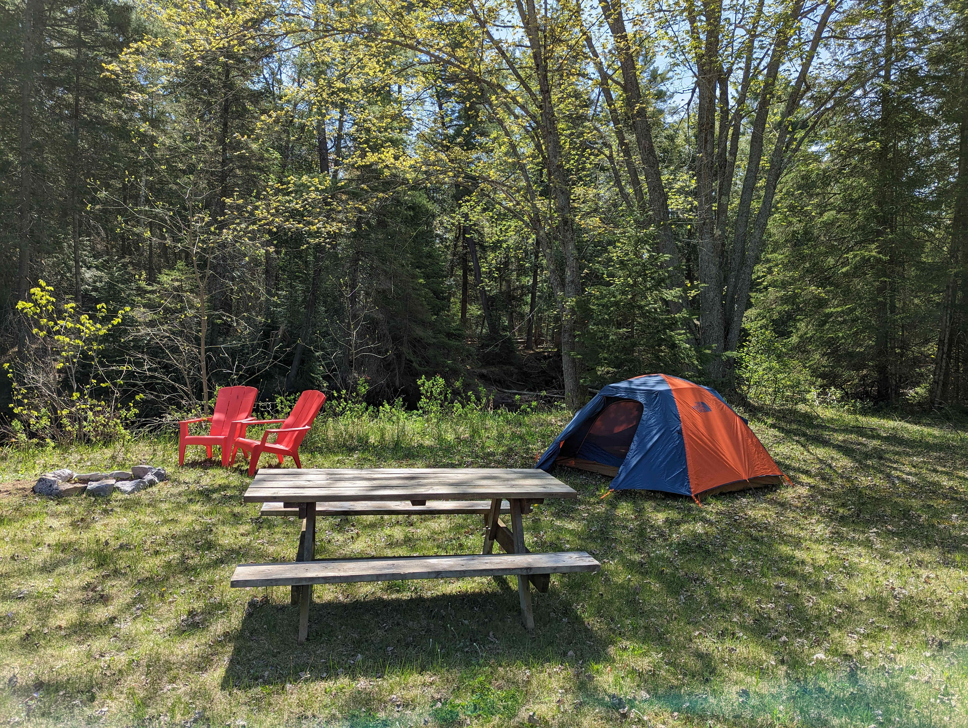 Picture of the site