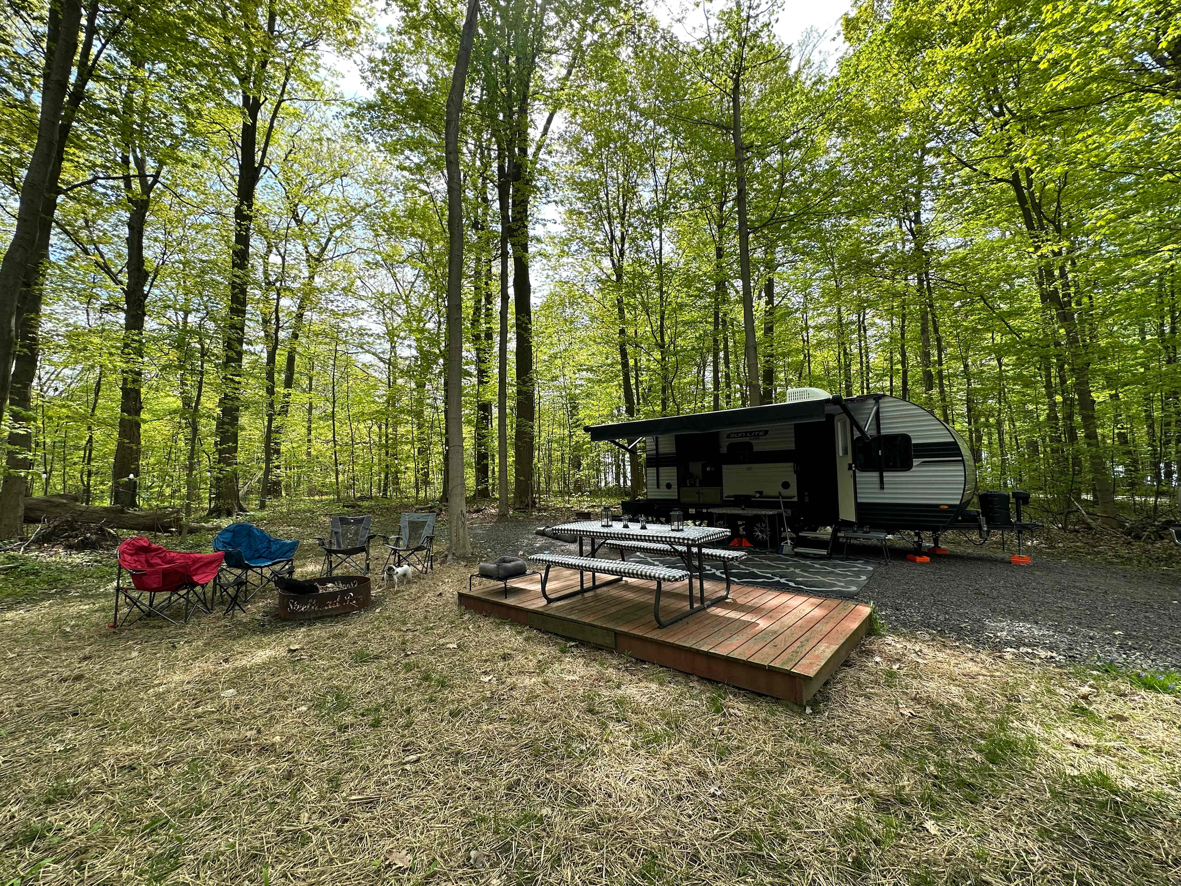 Picture of the site