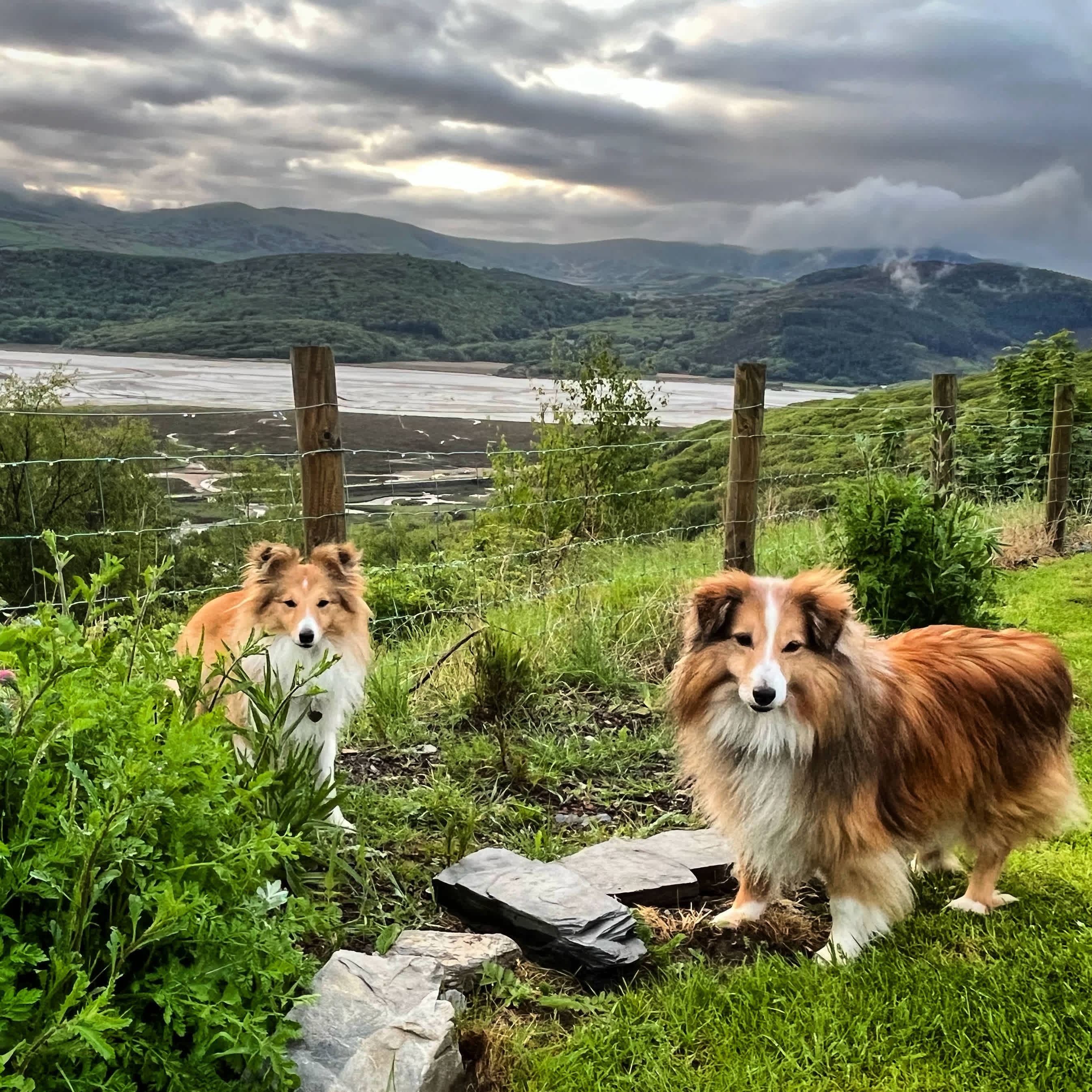 Graig Wen - Wild Snowdonia Escapes