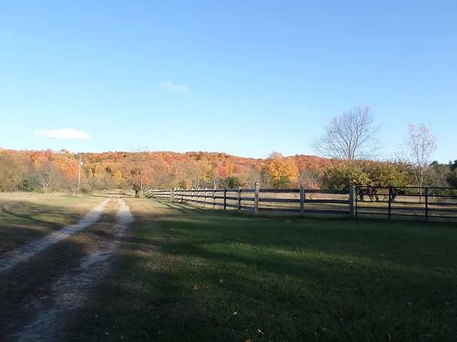 Welcome to The Still Point