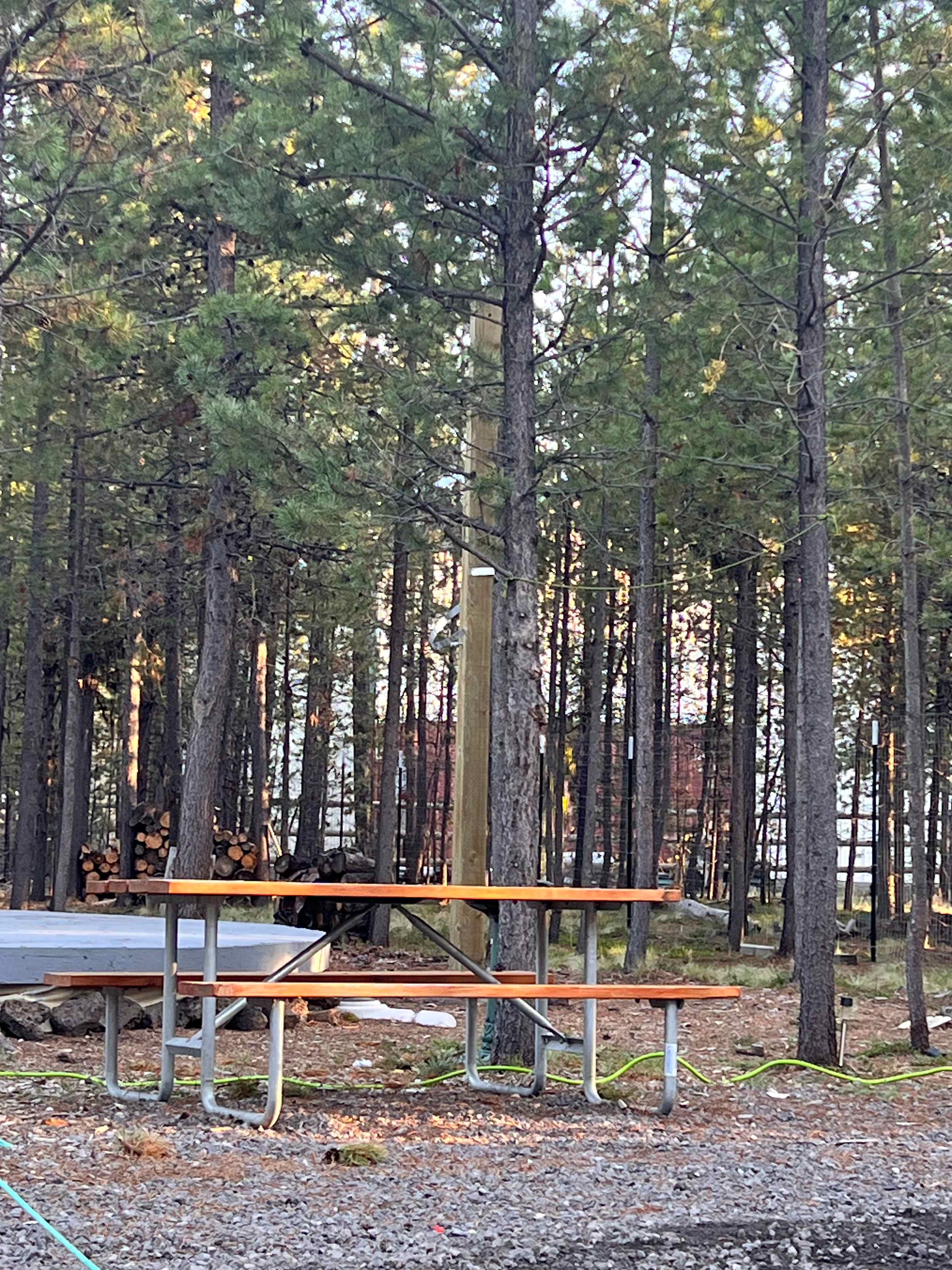 Picnic table and patio area to the left