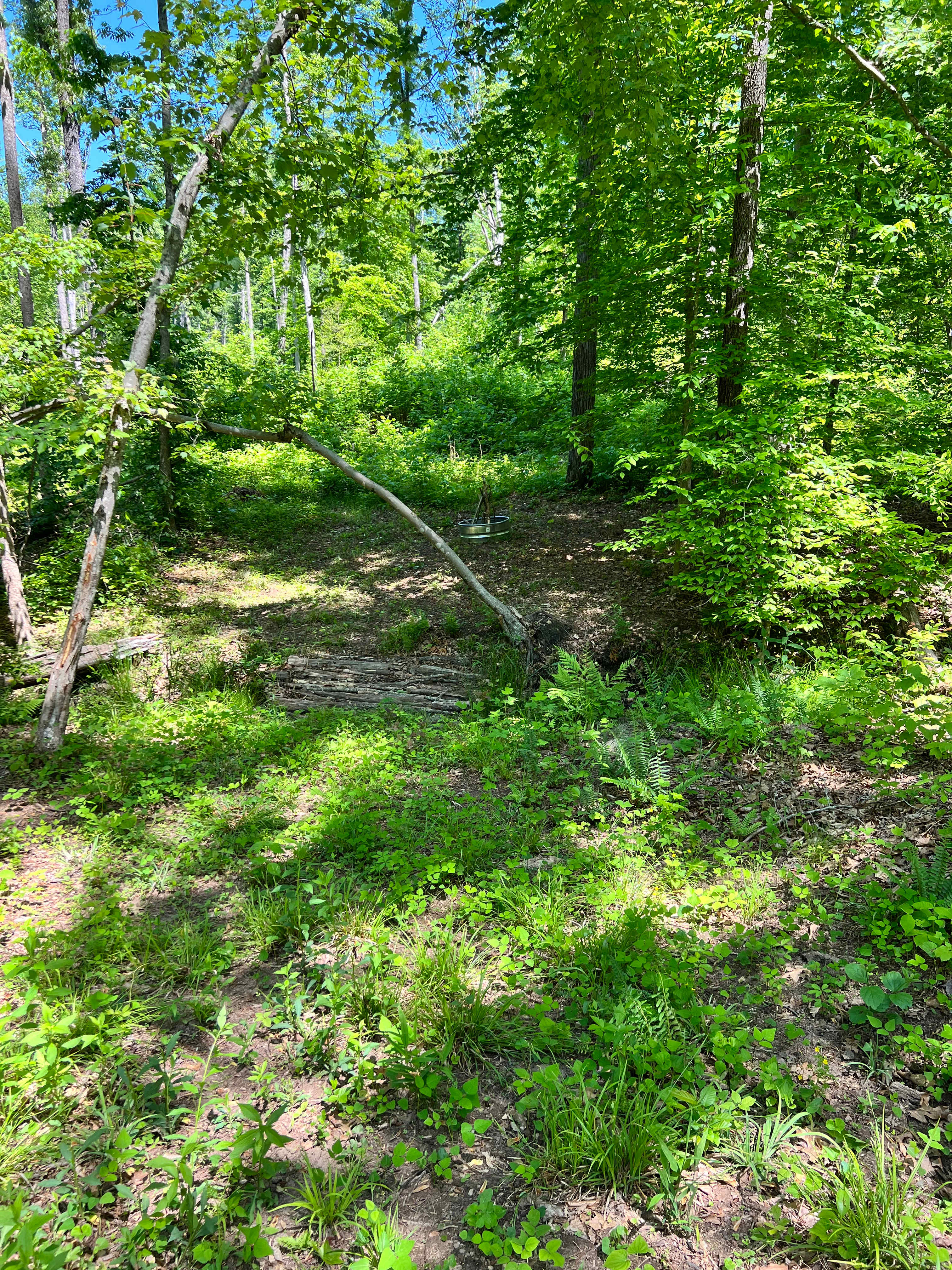 Fork Creek Acres