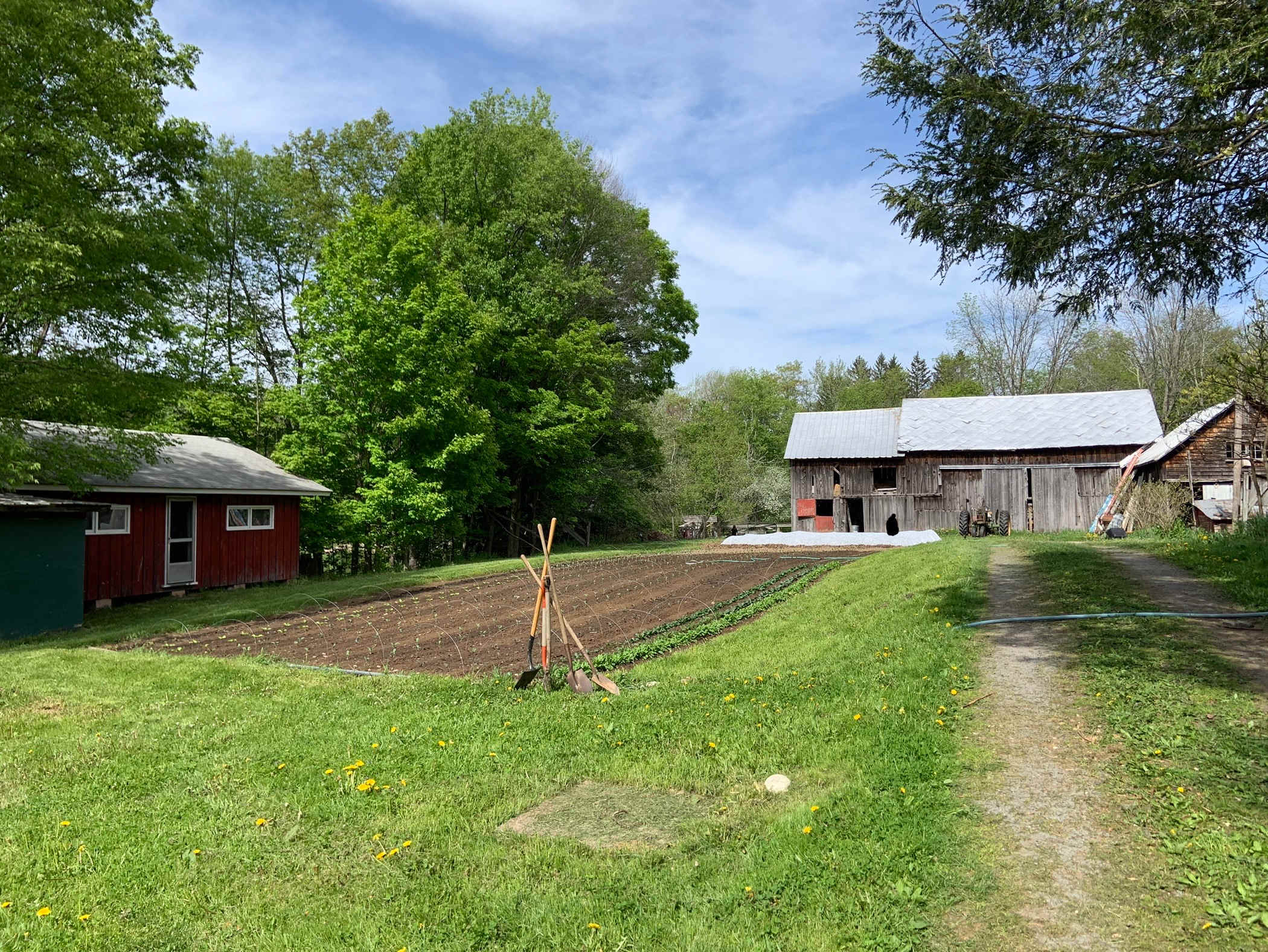 Picture of the site