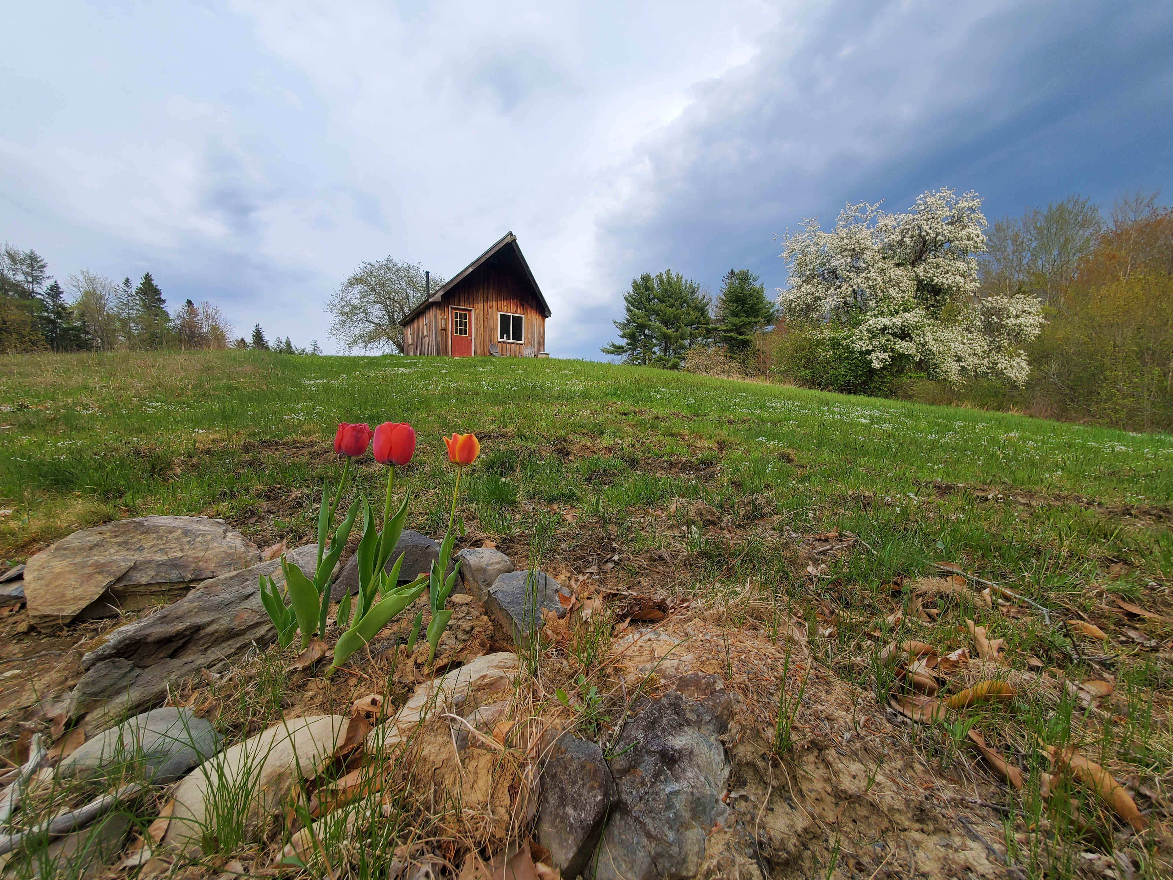 Graham Cracker Cabin and Campsites