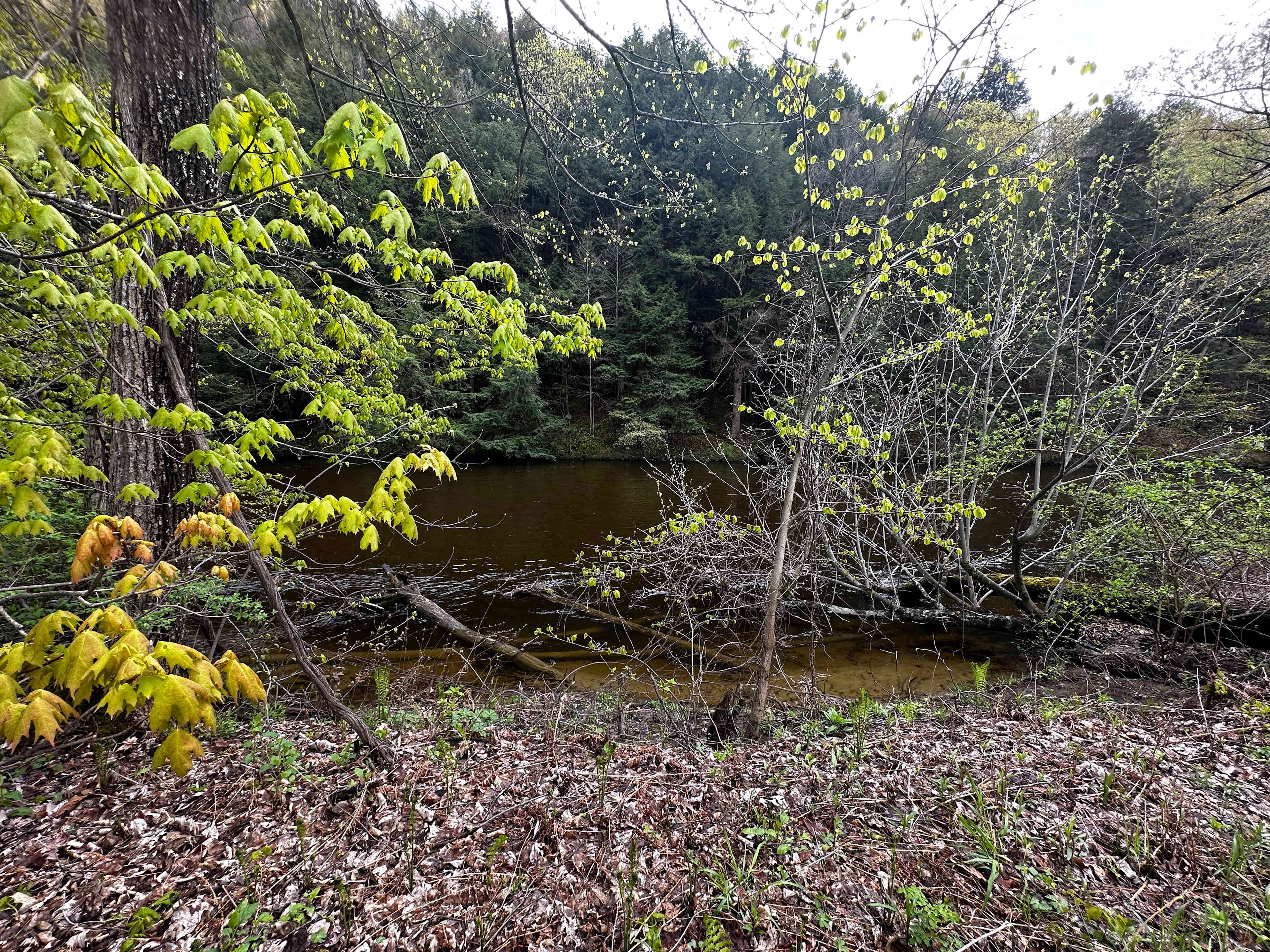 Mountain Rise Farm and Campground