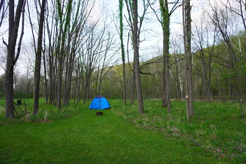 Picture of the site
