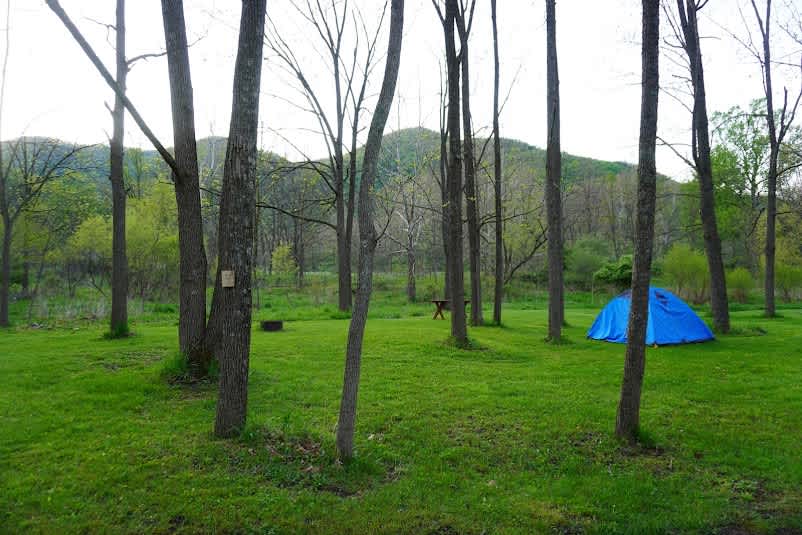 Picture of the site