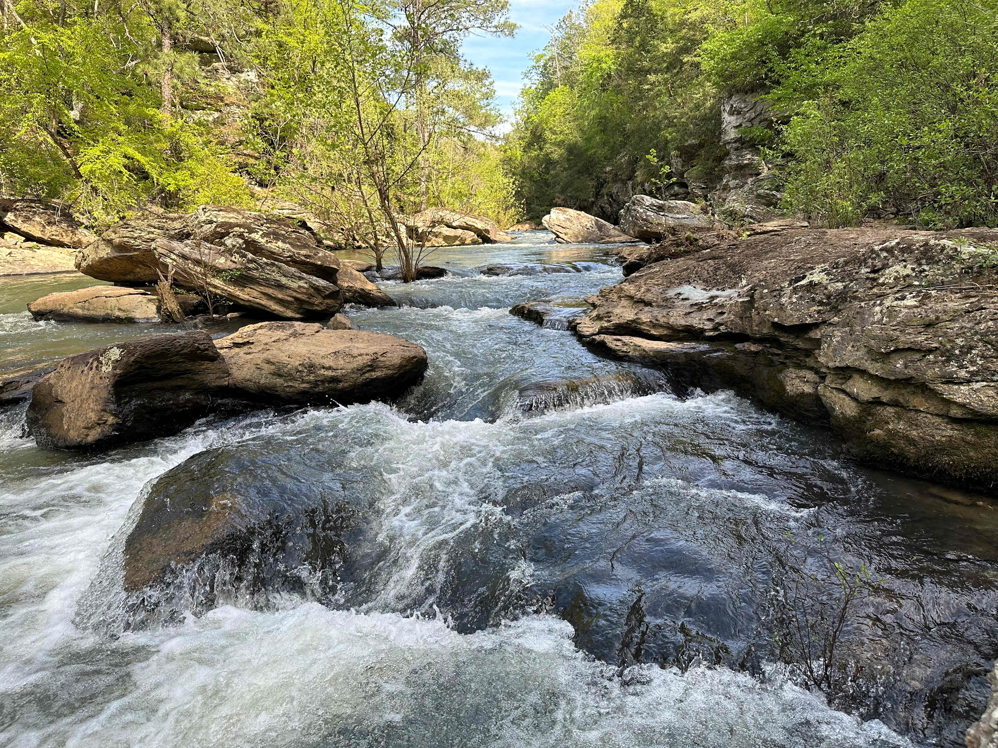Walk to nearby Talladega Creek