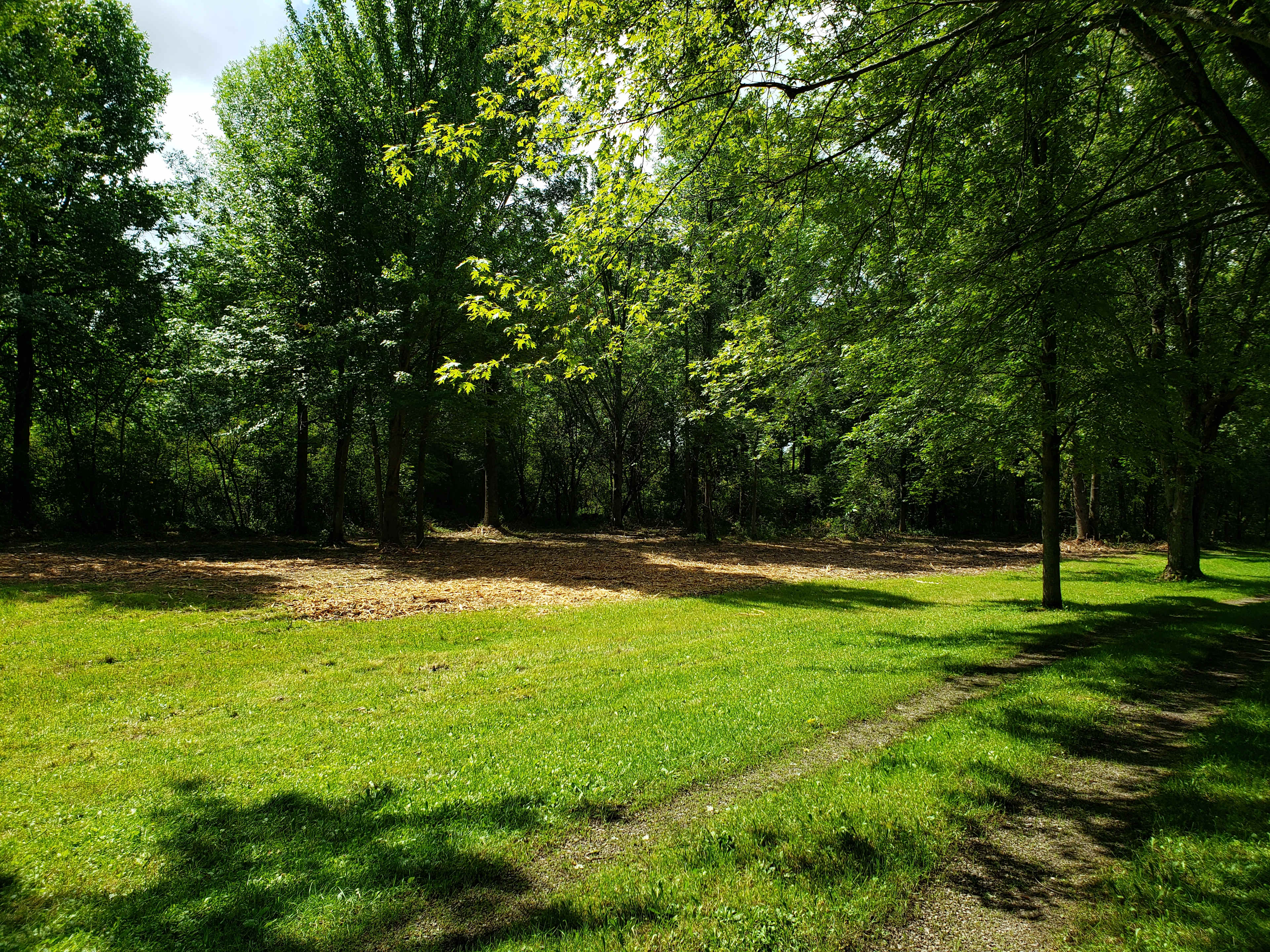 Whitetail Meadows