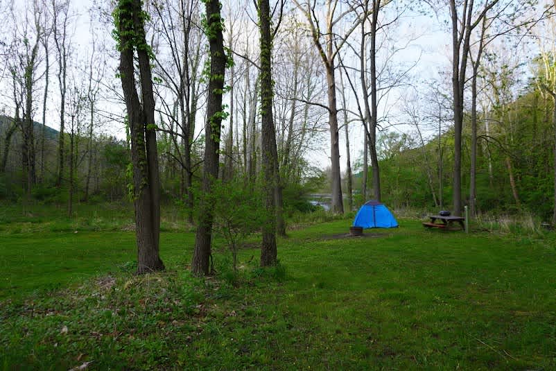 Picture of the site