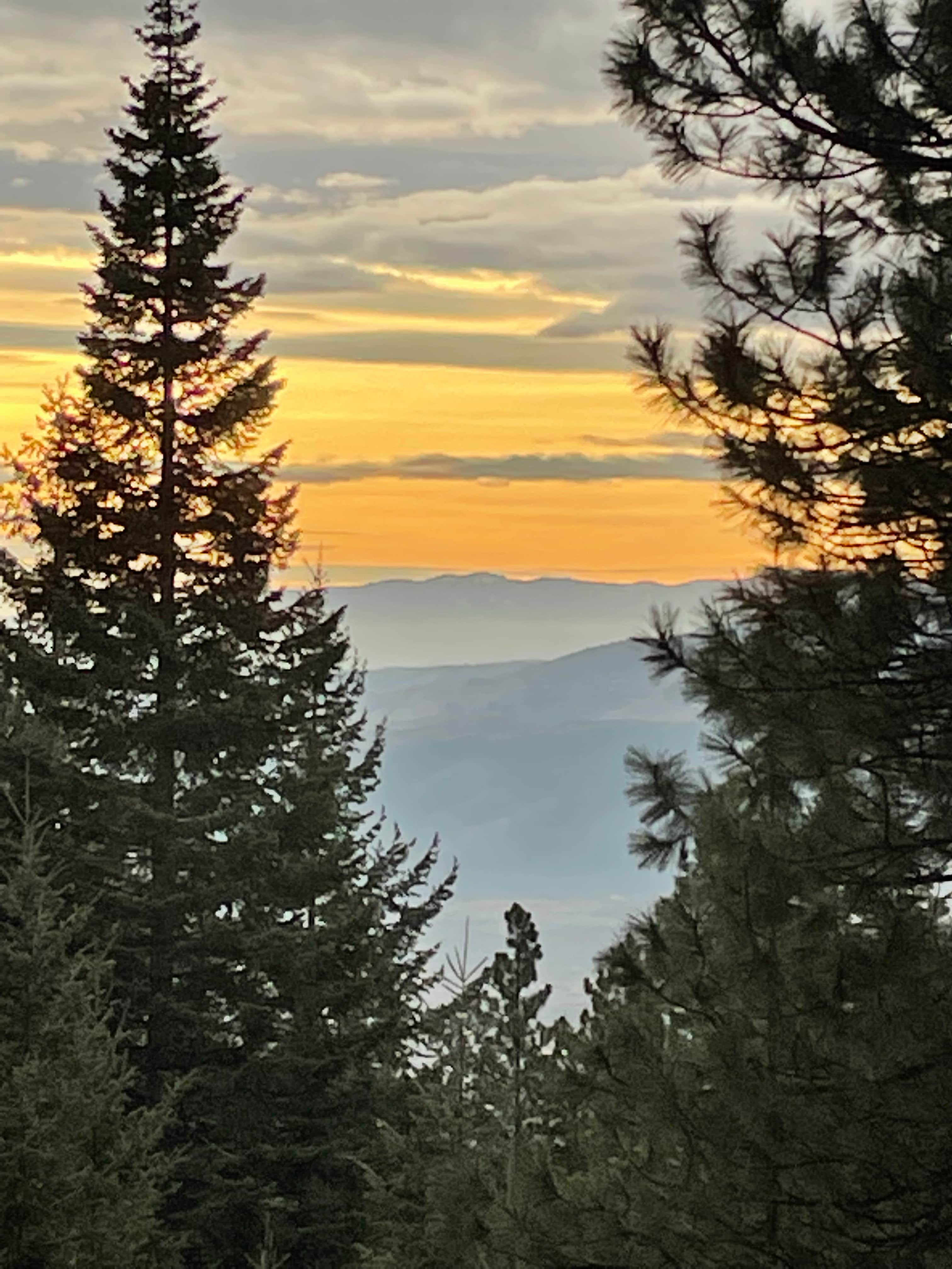 View from Mill Creek 