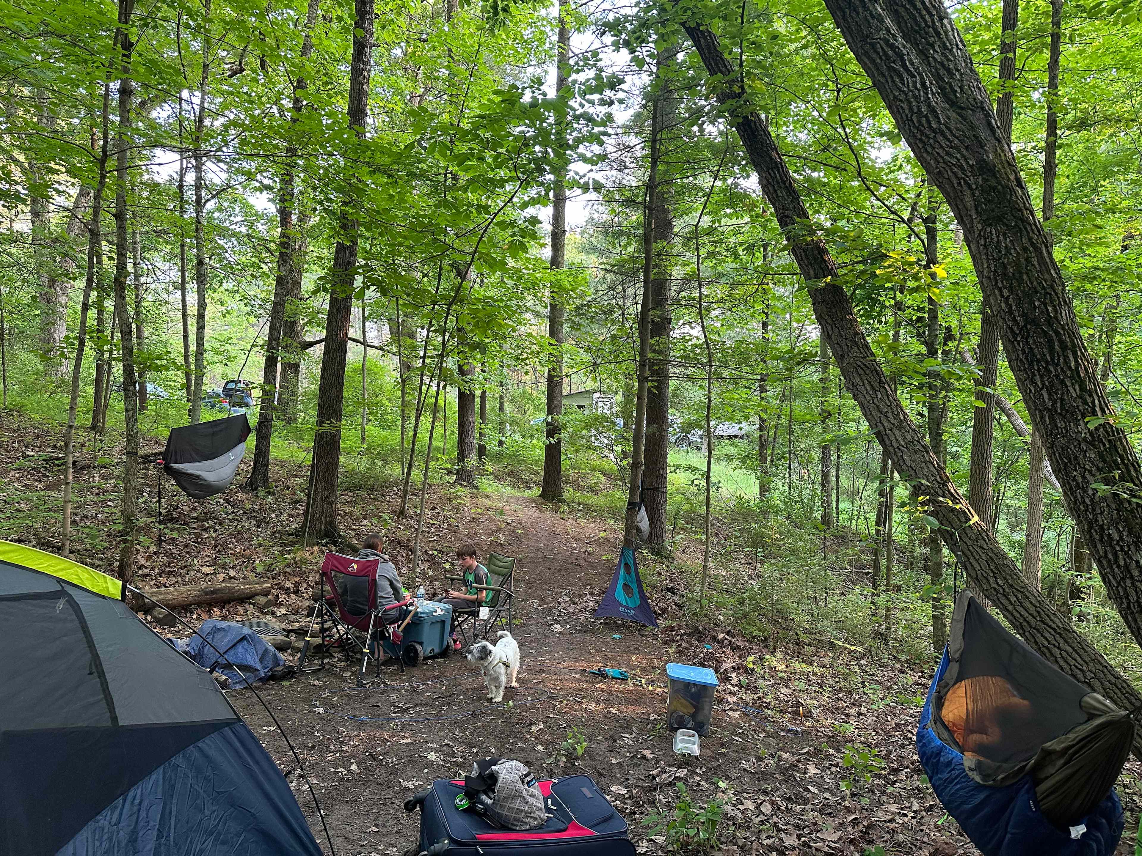 Picture of the site