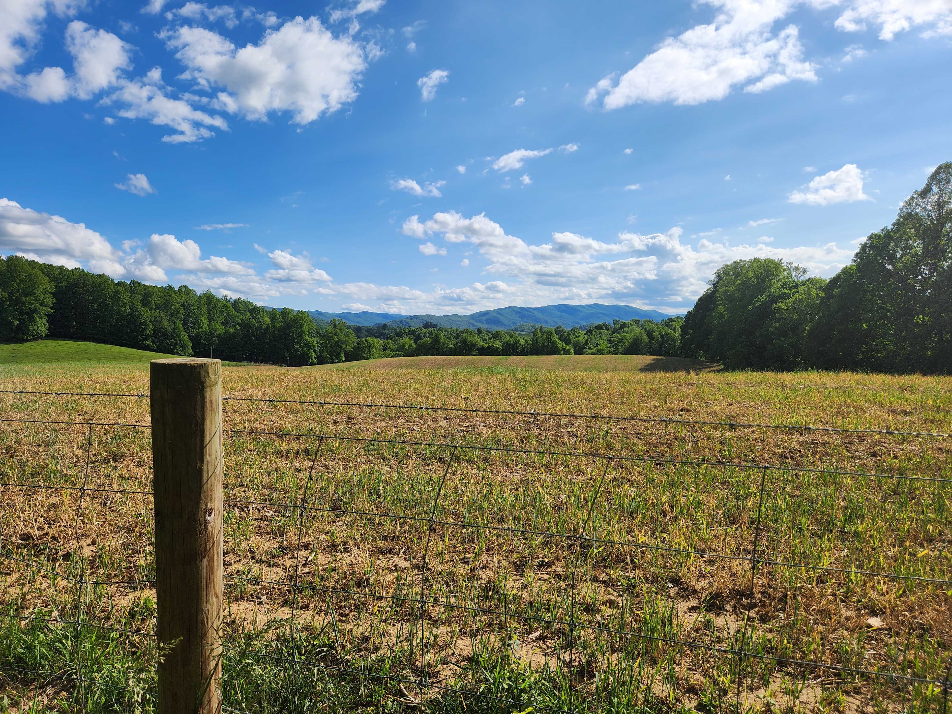 Secluded Farm Camp near Damascus VA
