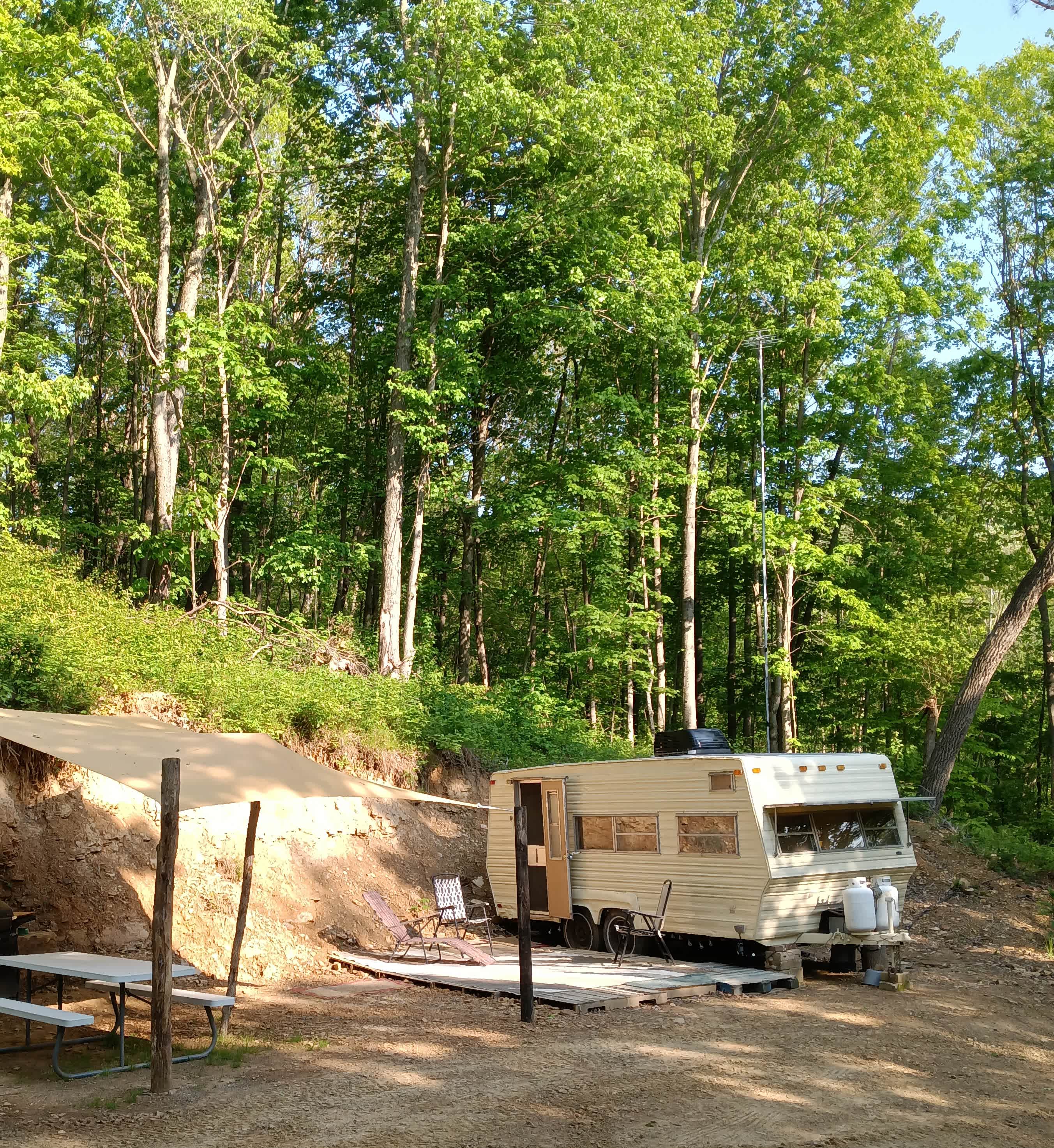 Picture of the site