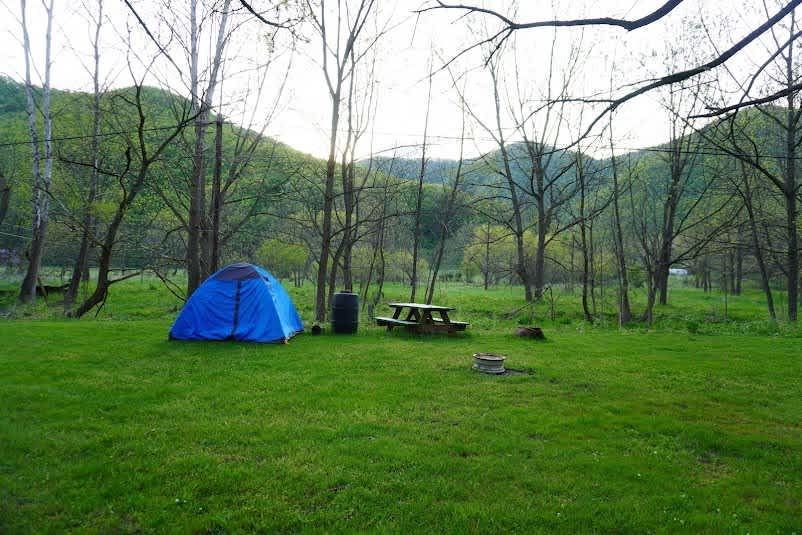Picture of the site