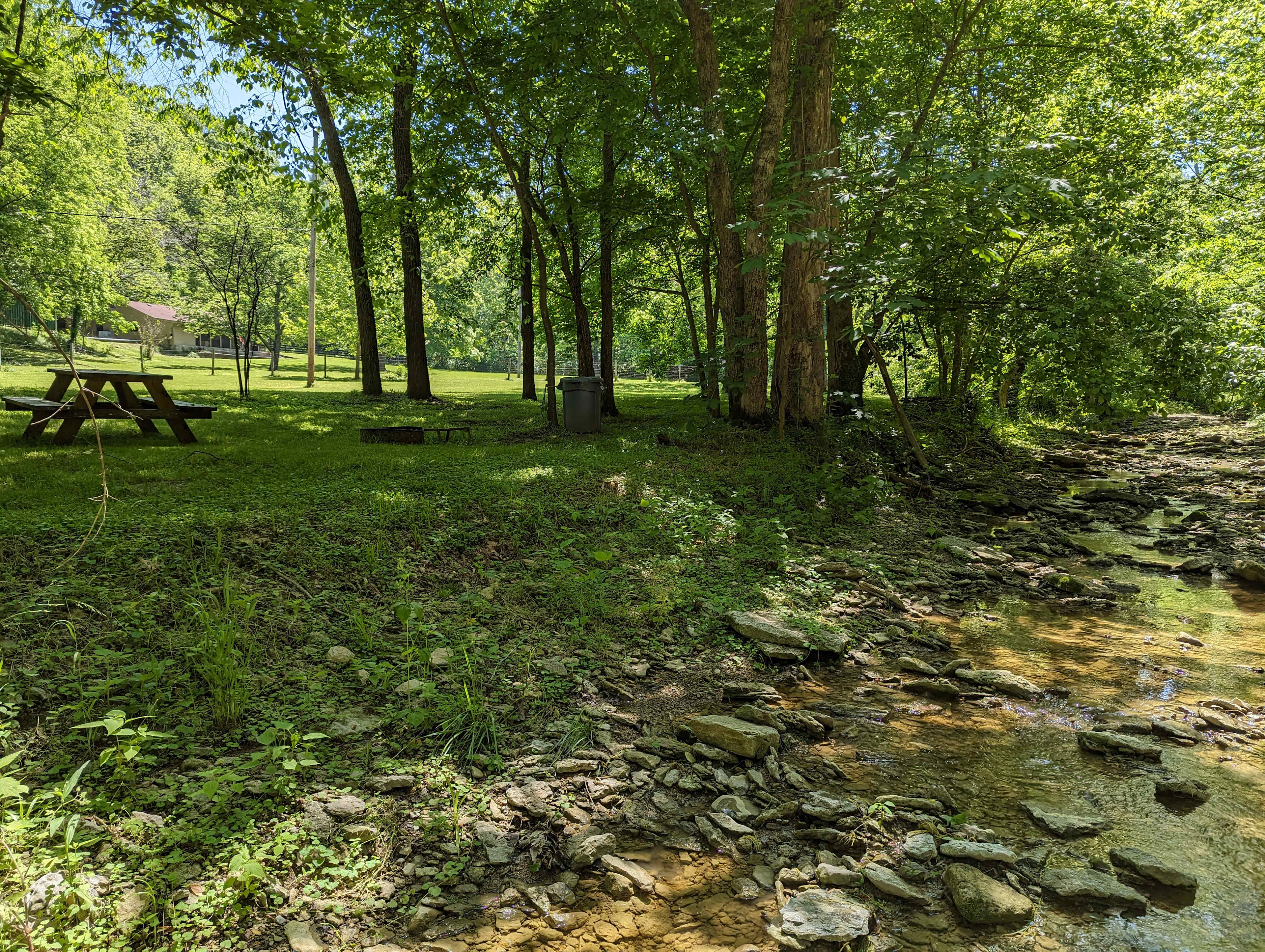 Picture of the site