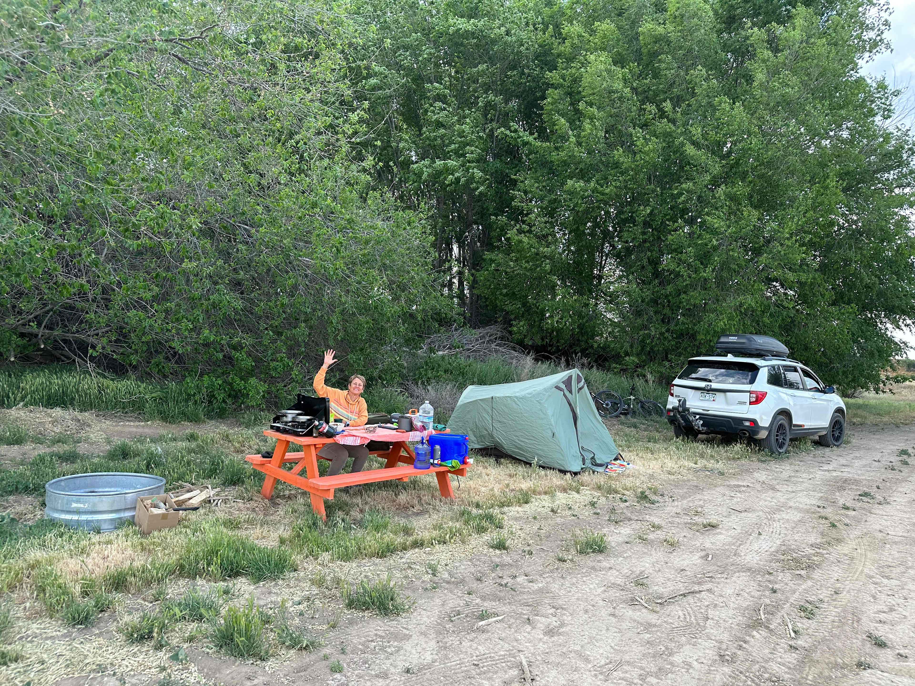 Desert camping views and wildlife
