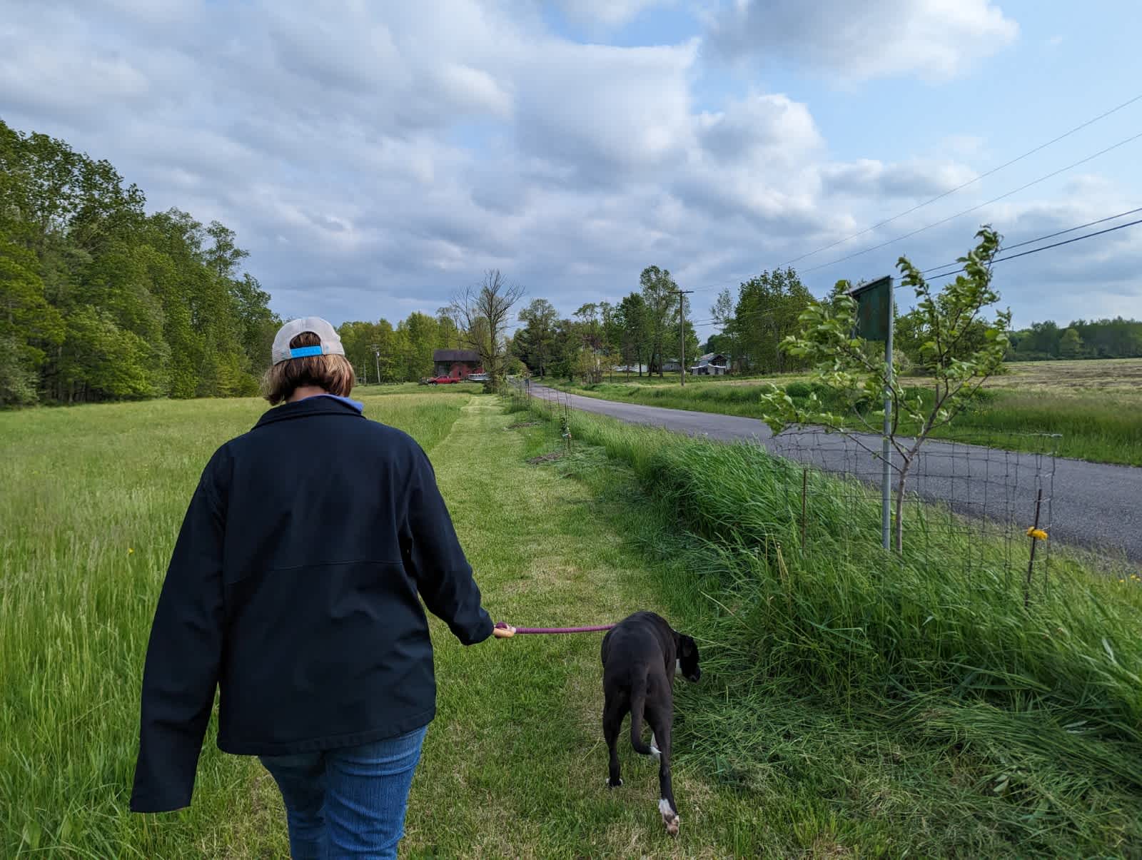 Finishing leg of nature trail
