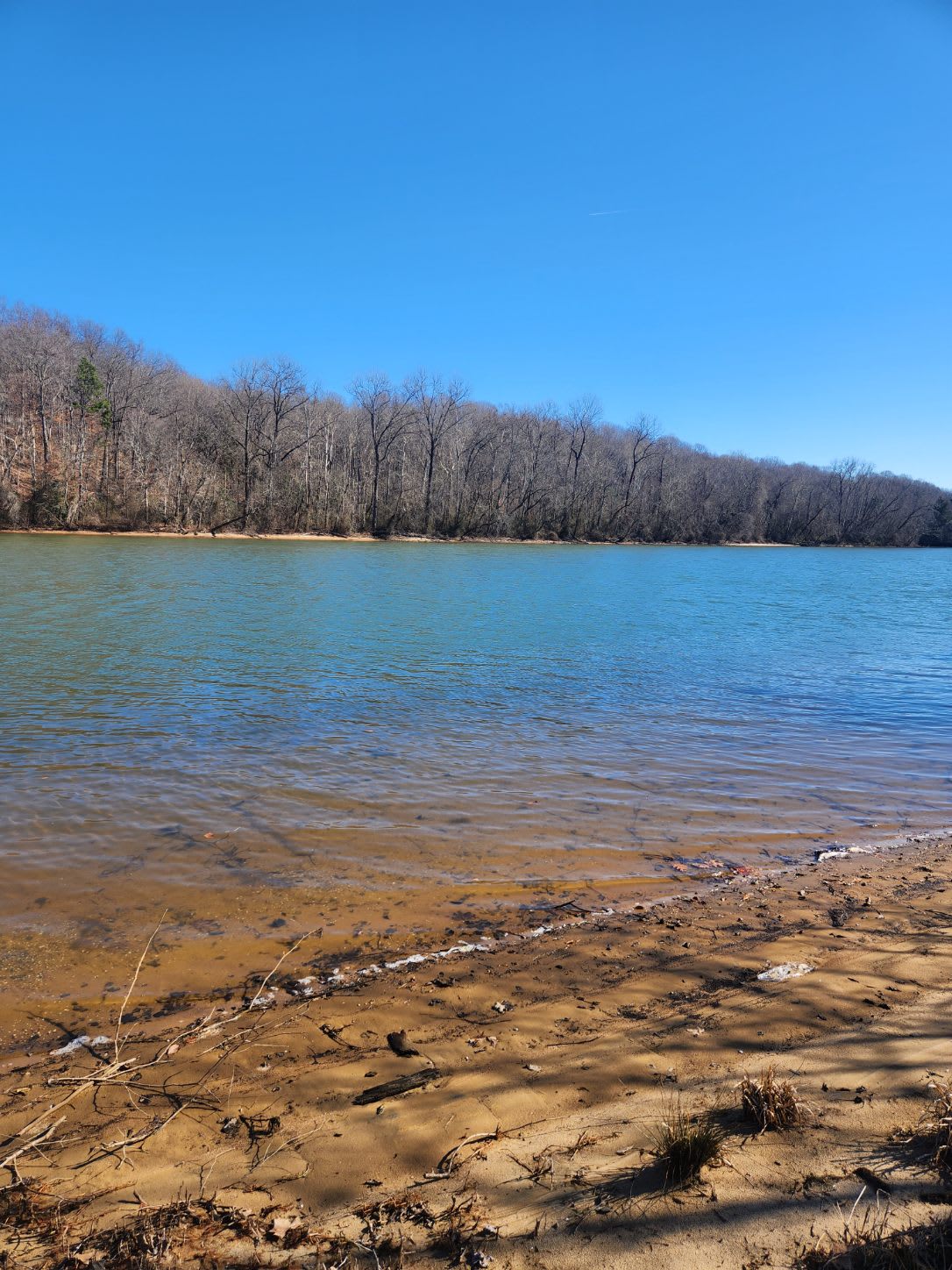 Lake Lookout Campground