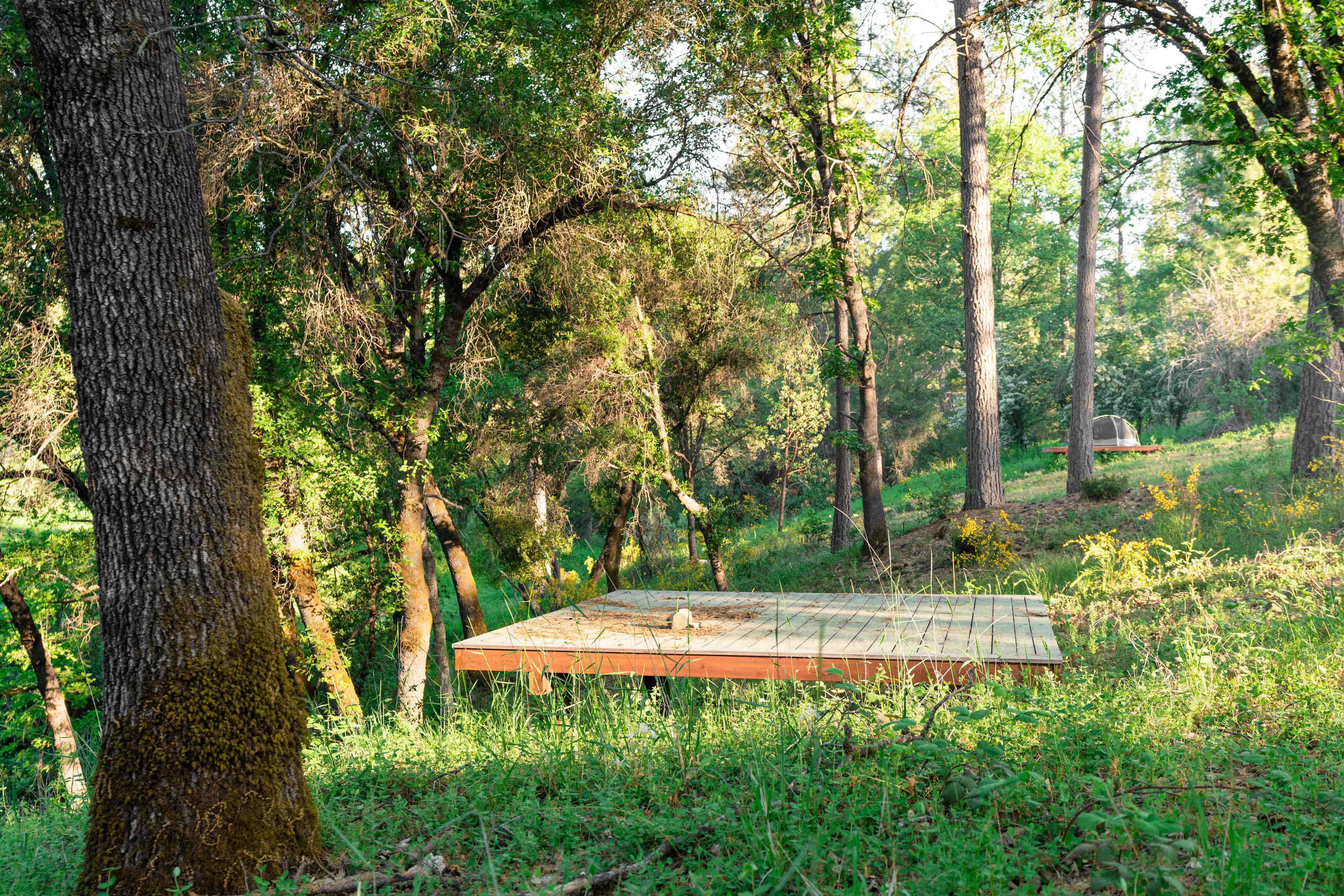 Tent platform 3