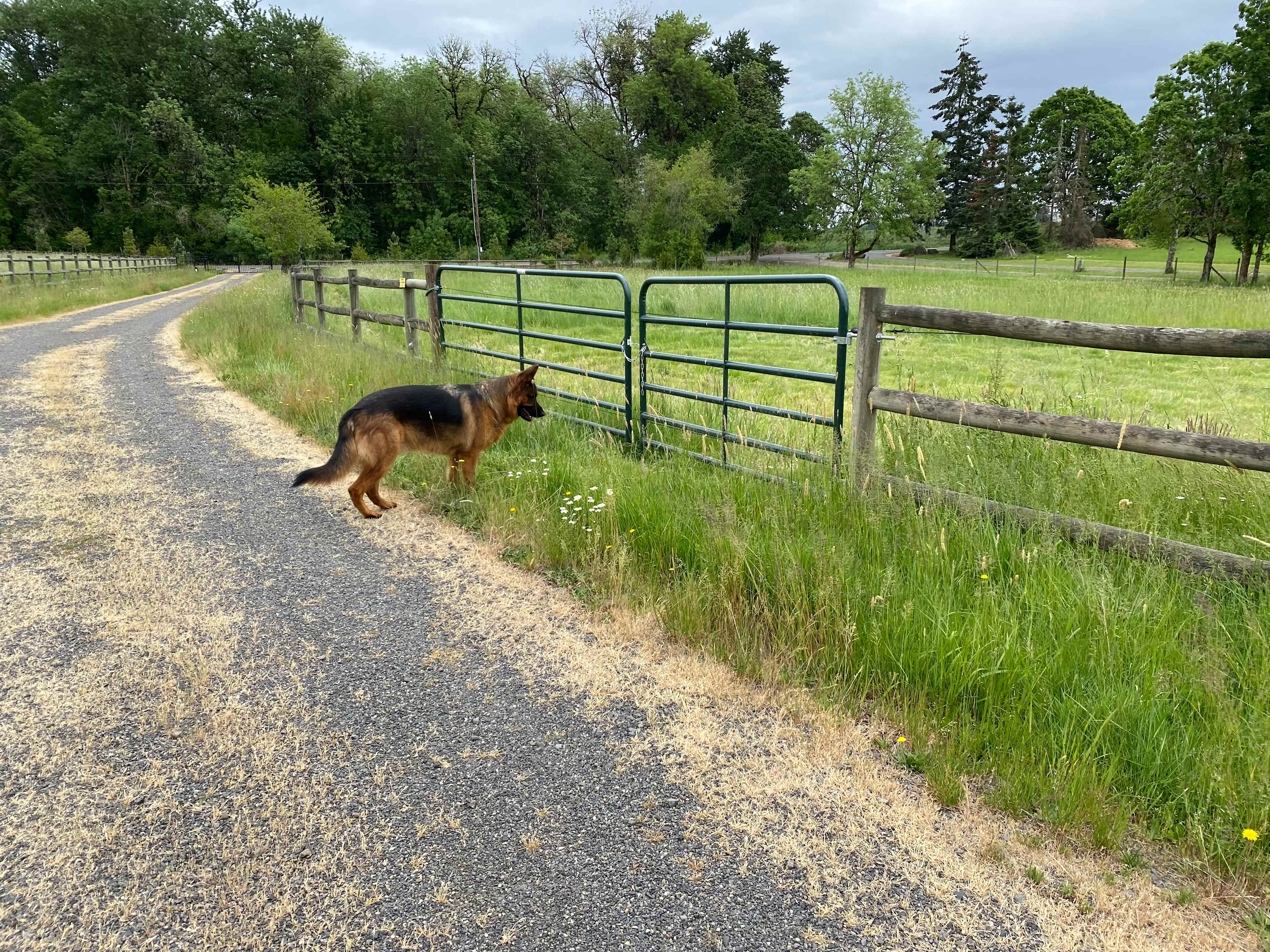 Enrique points out the gate to the RV field:)