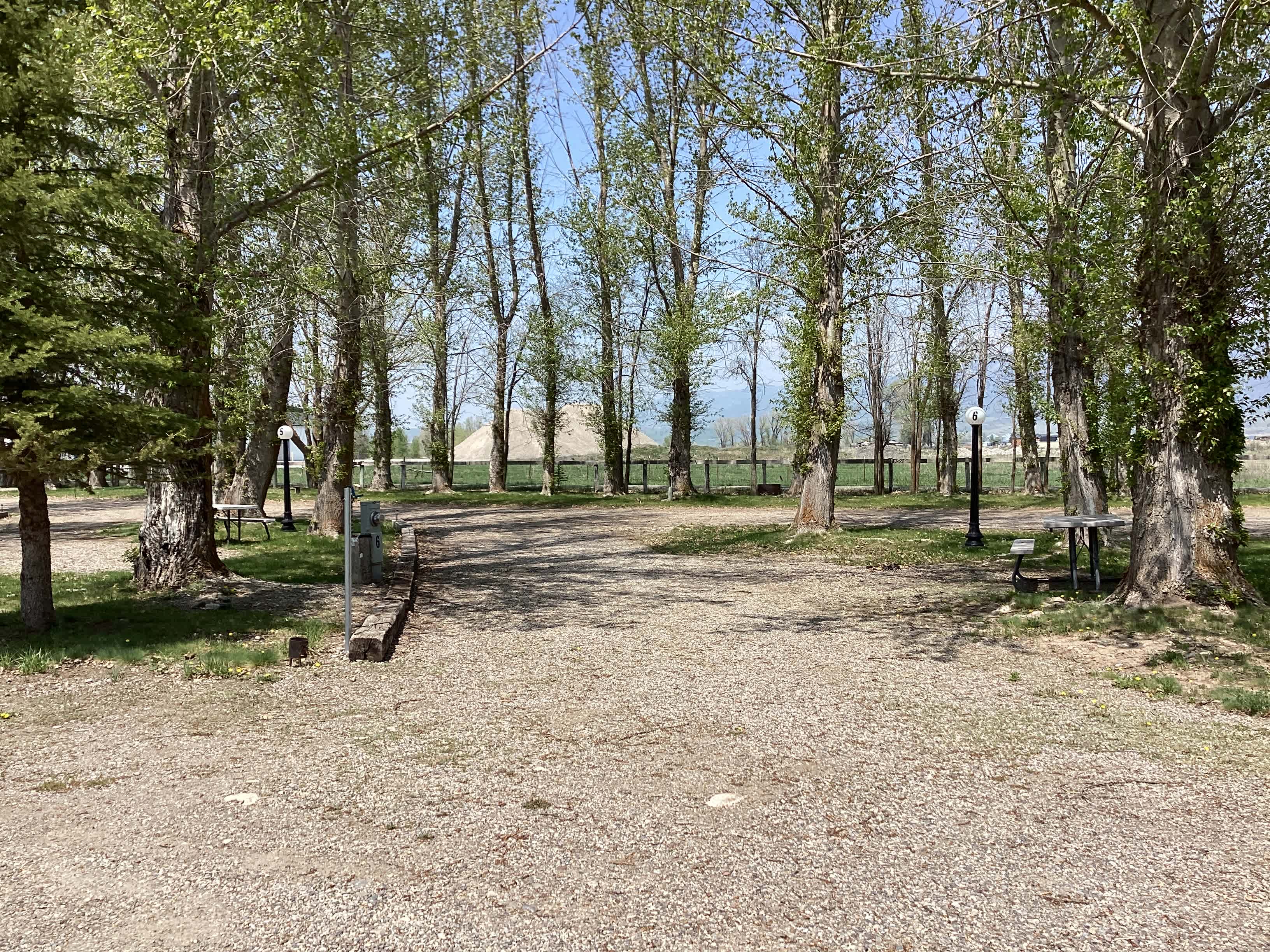Picture of the site
