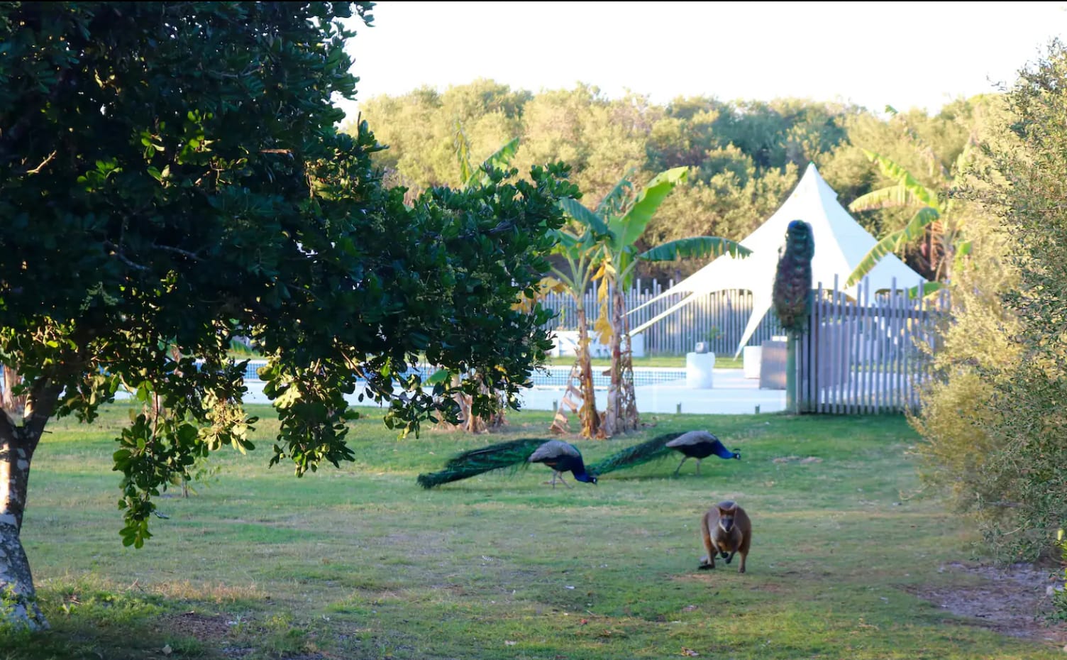 Sugar Beach Ranch - Horse Holidays
