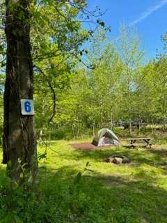 Picture of the site