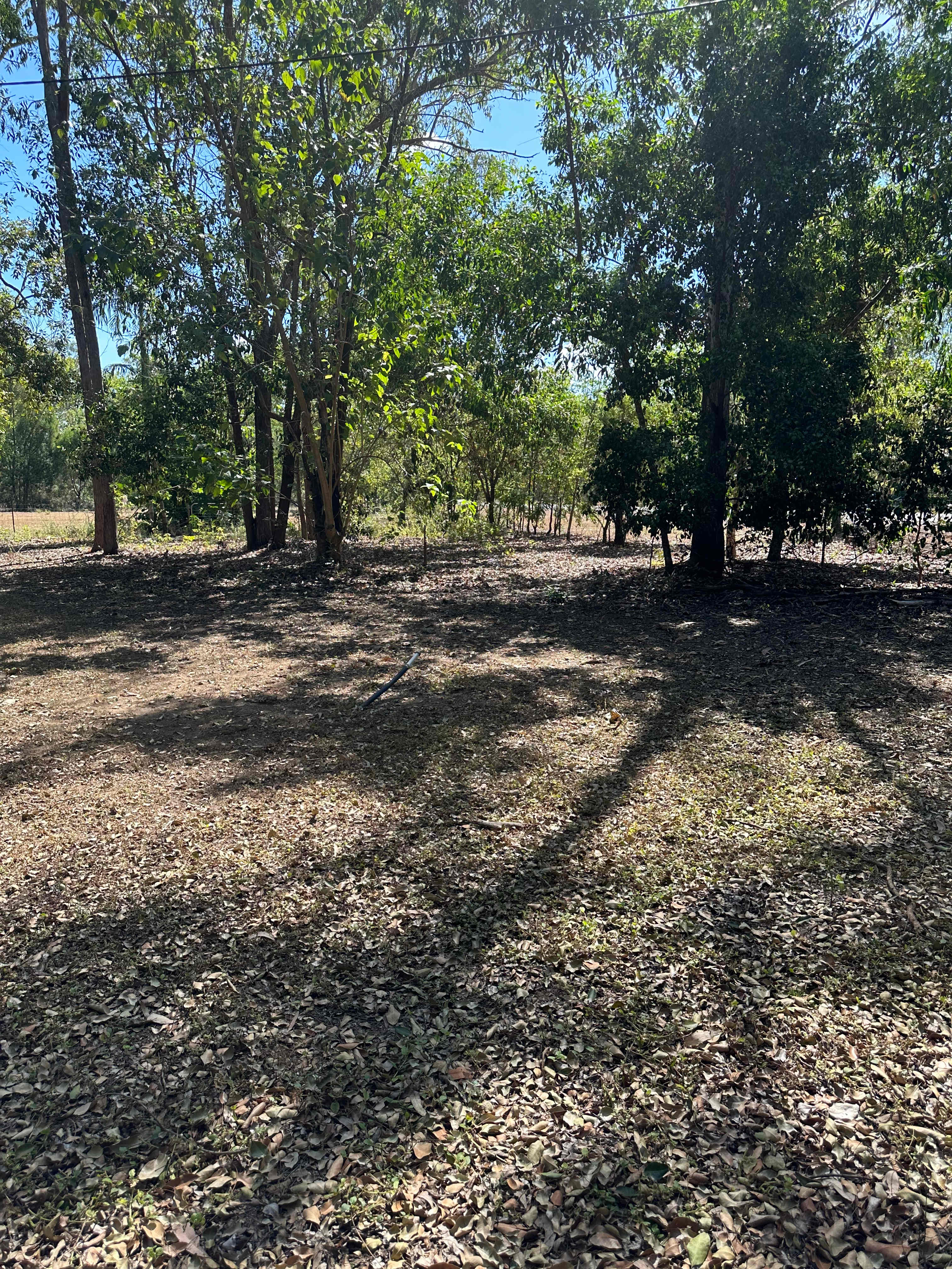 Campsite 