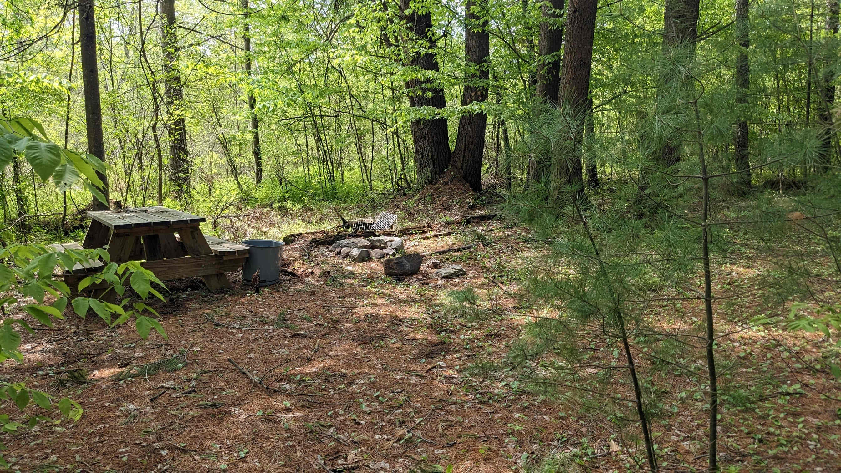 Picture of the site