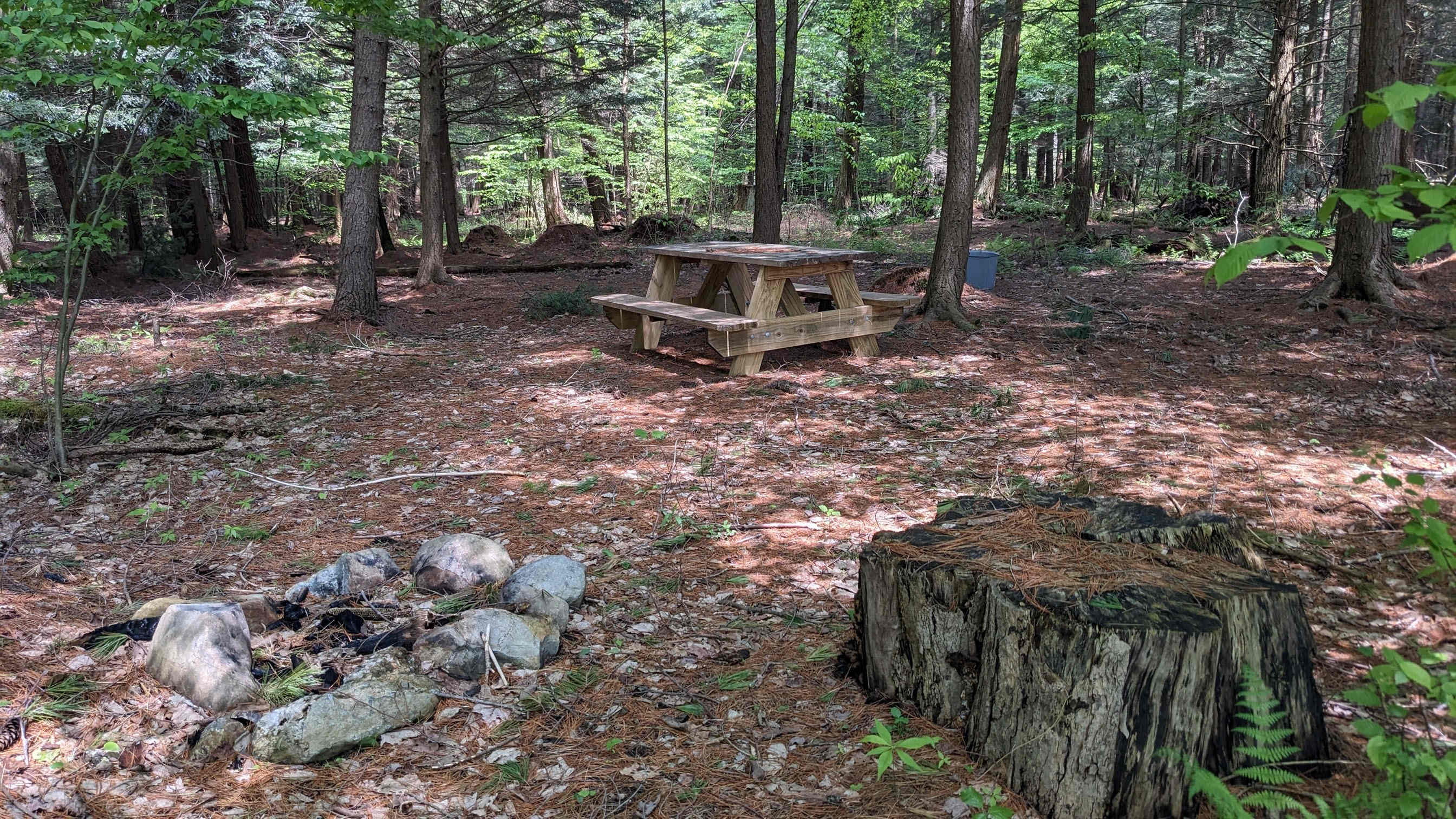 Picture of the site