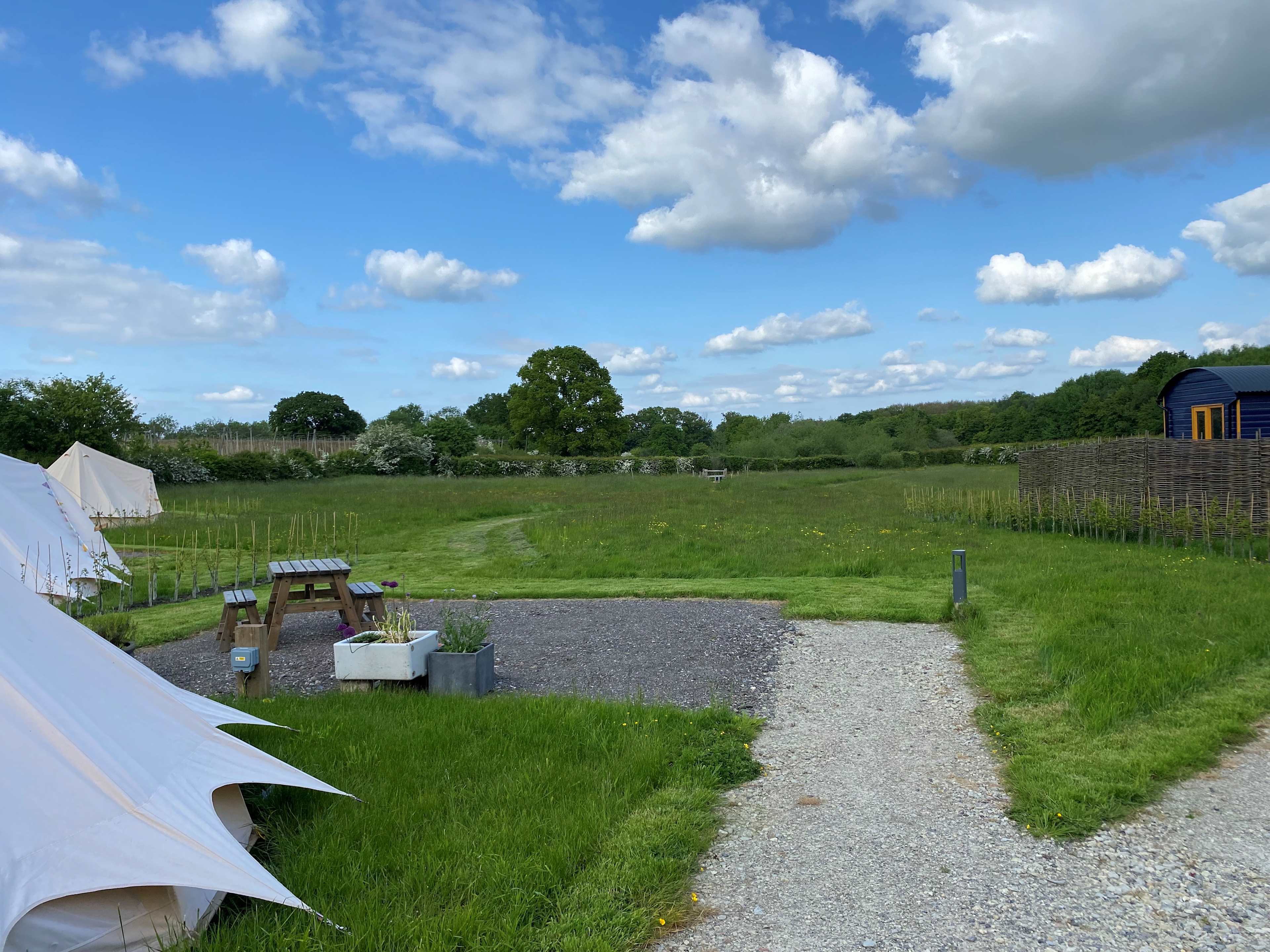 Picture of the site