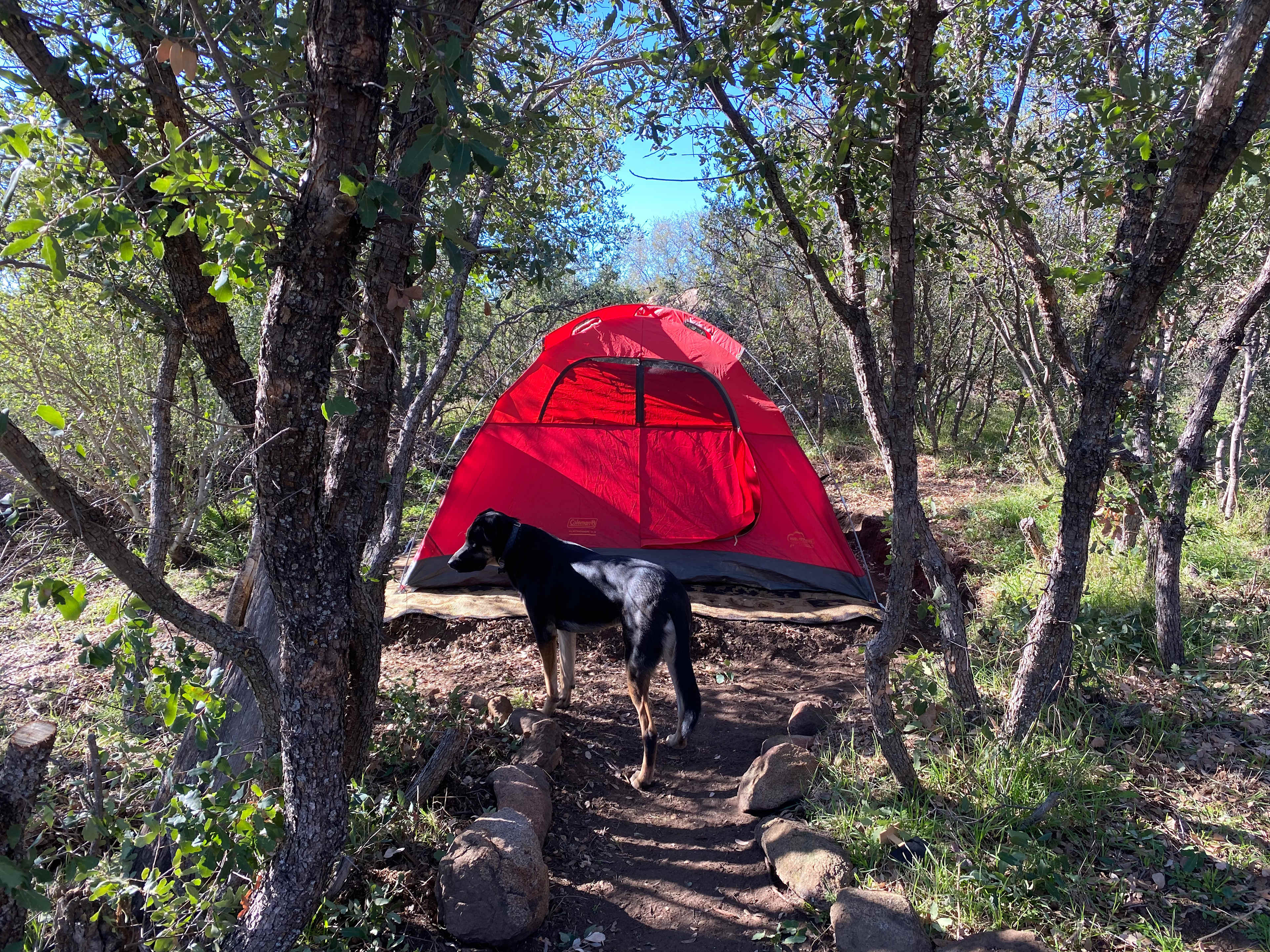 Adjacent camp site is perfect for including more 2 more guests. Bring your own tent or rent one from us!