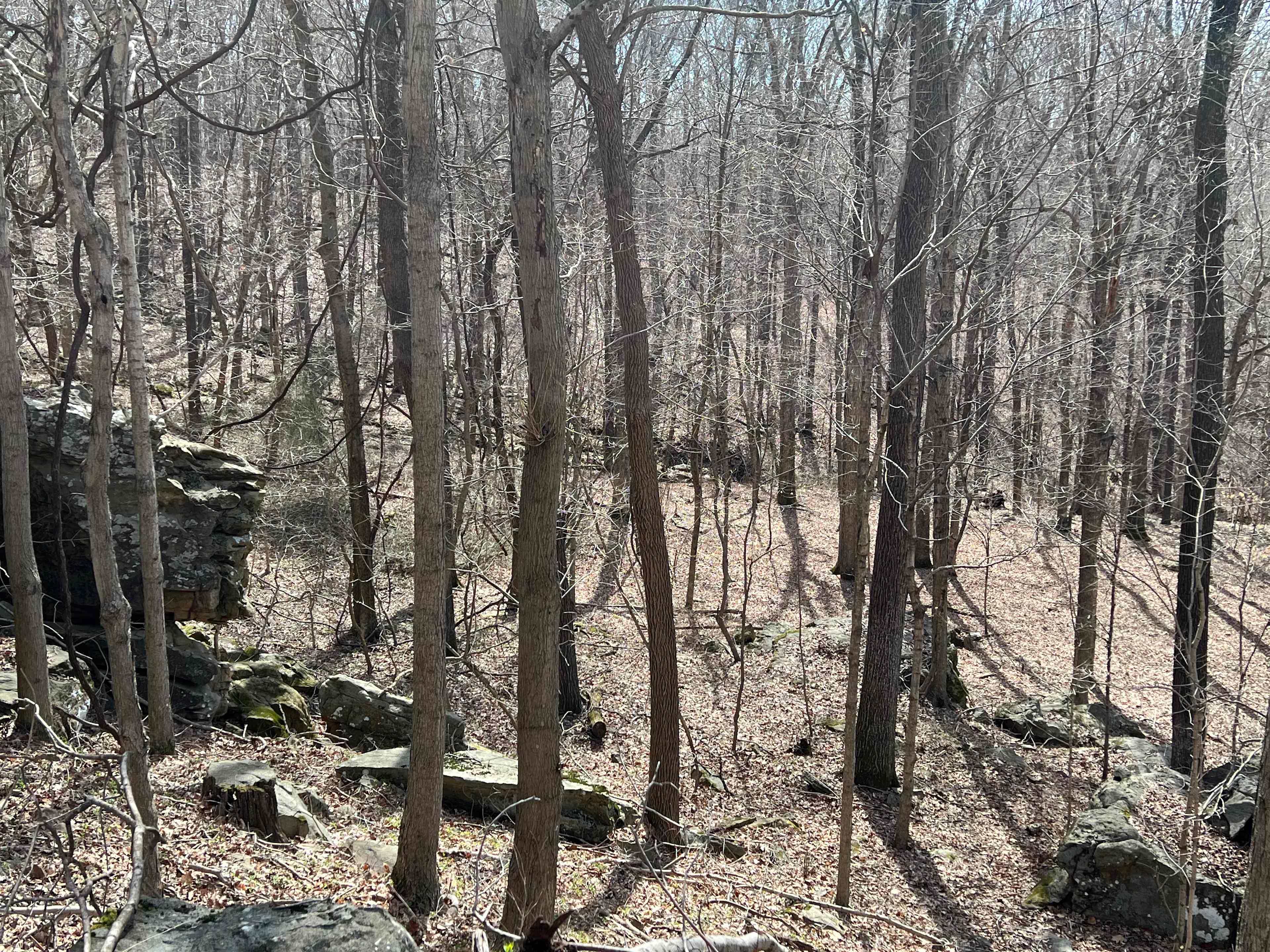 Winter view of Bluff