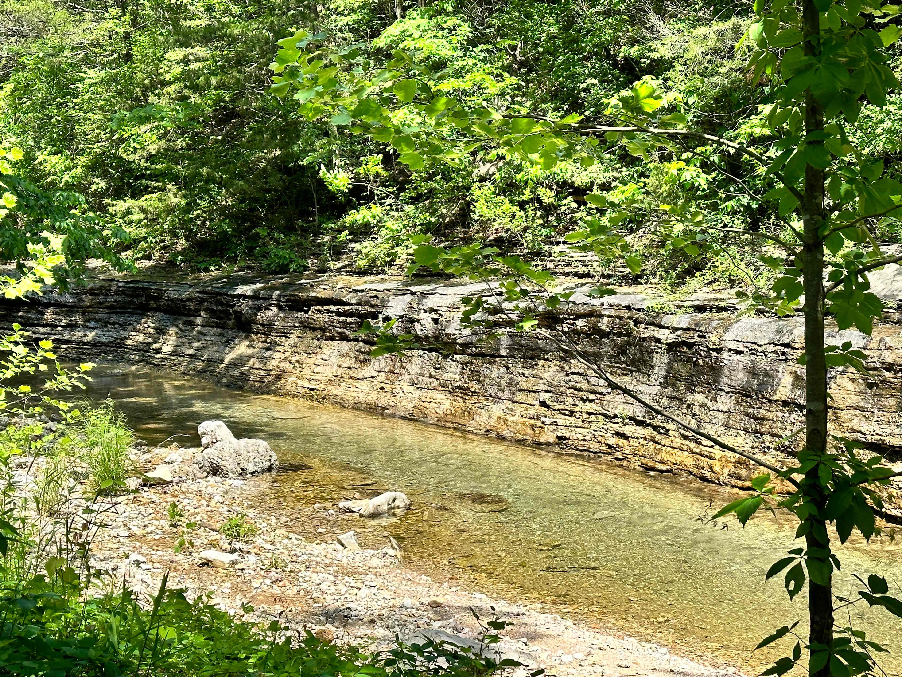 Lake Leatherwood Creek - can hear it and see it from the sprinter van area.