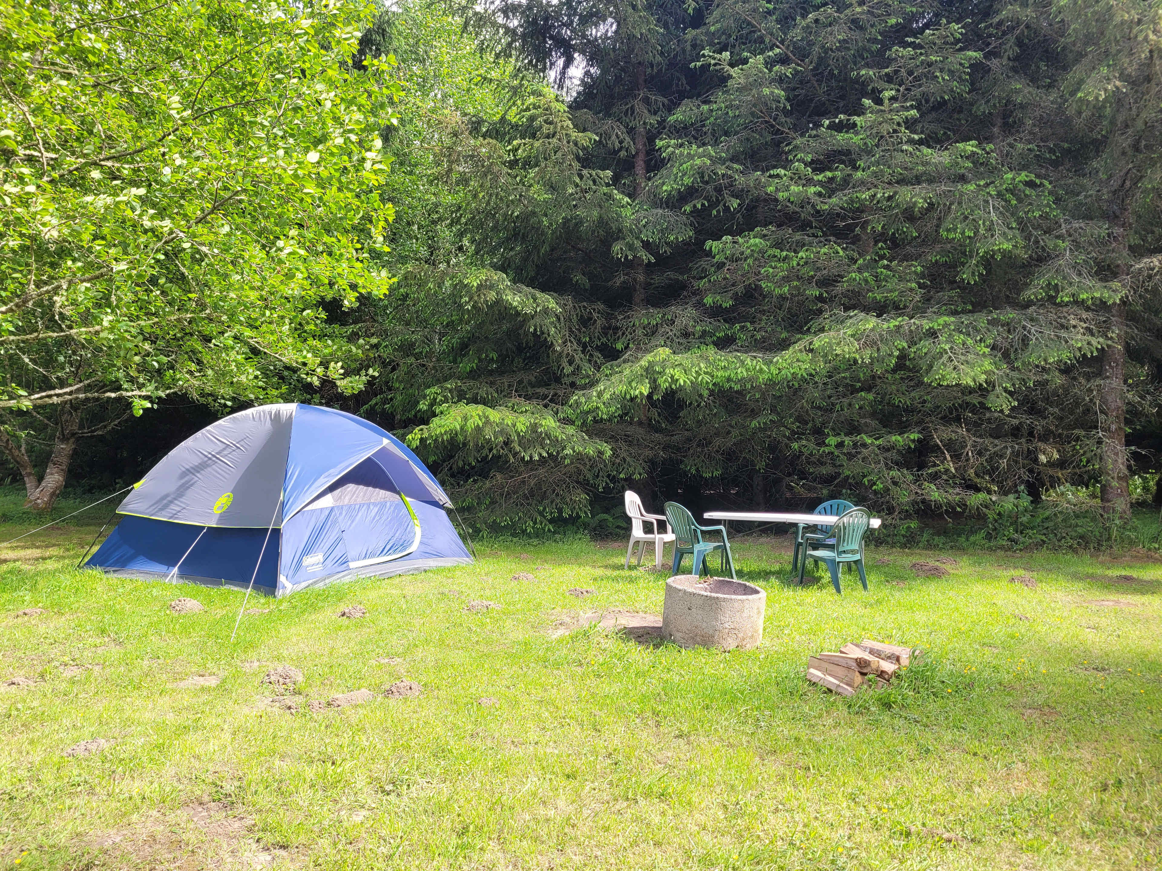Picture of the site