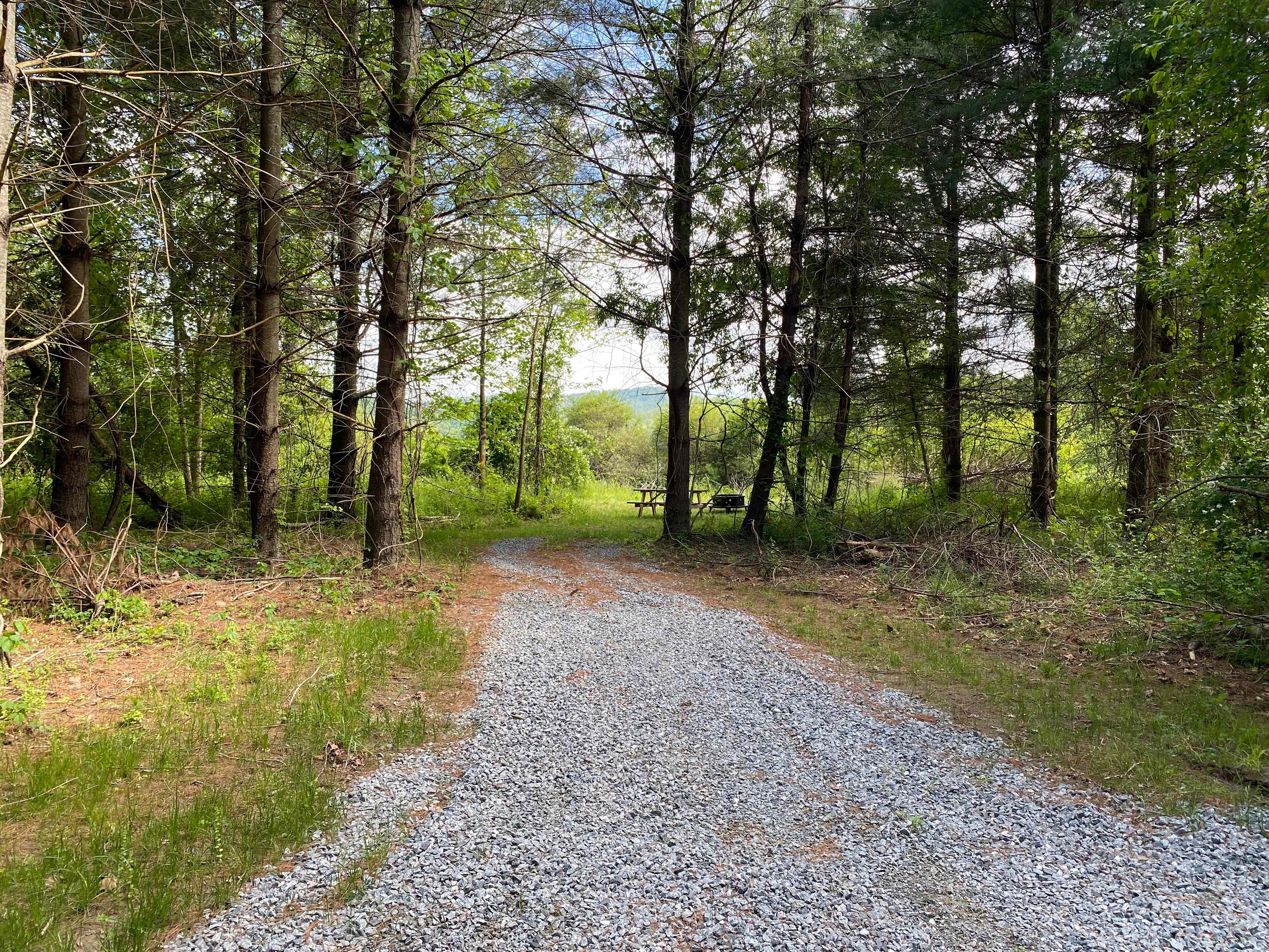 Picture of the site