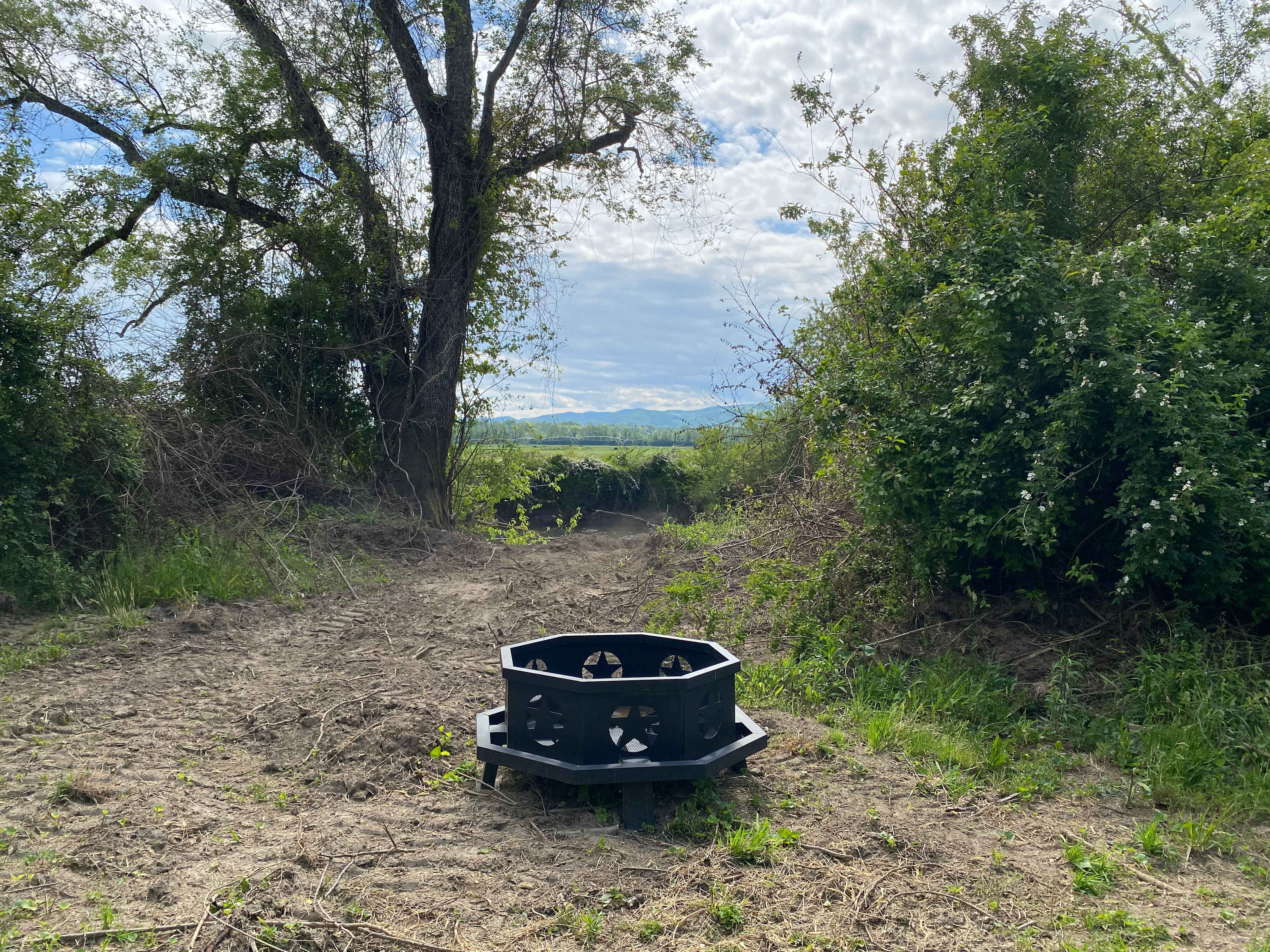 Picture of the site