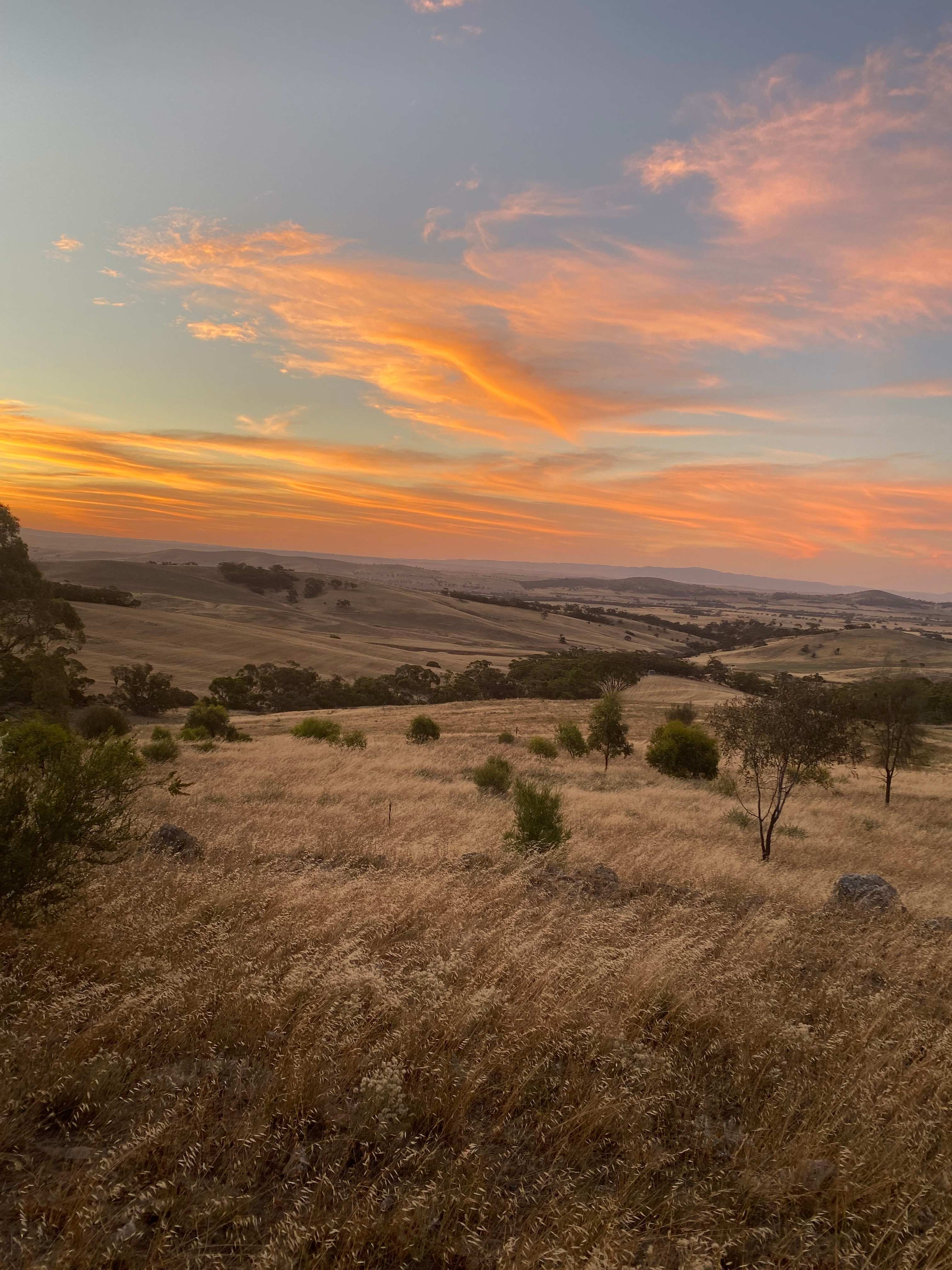A sunset view