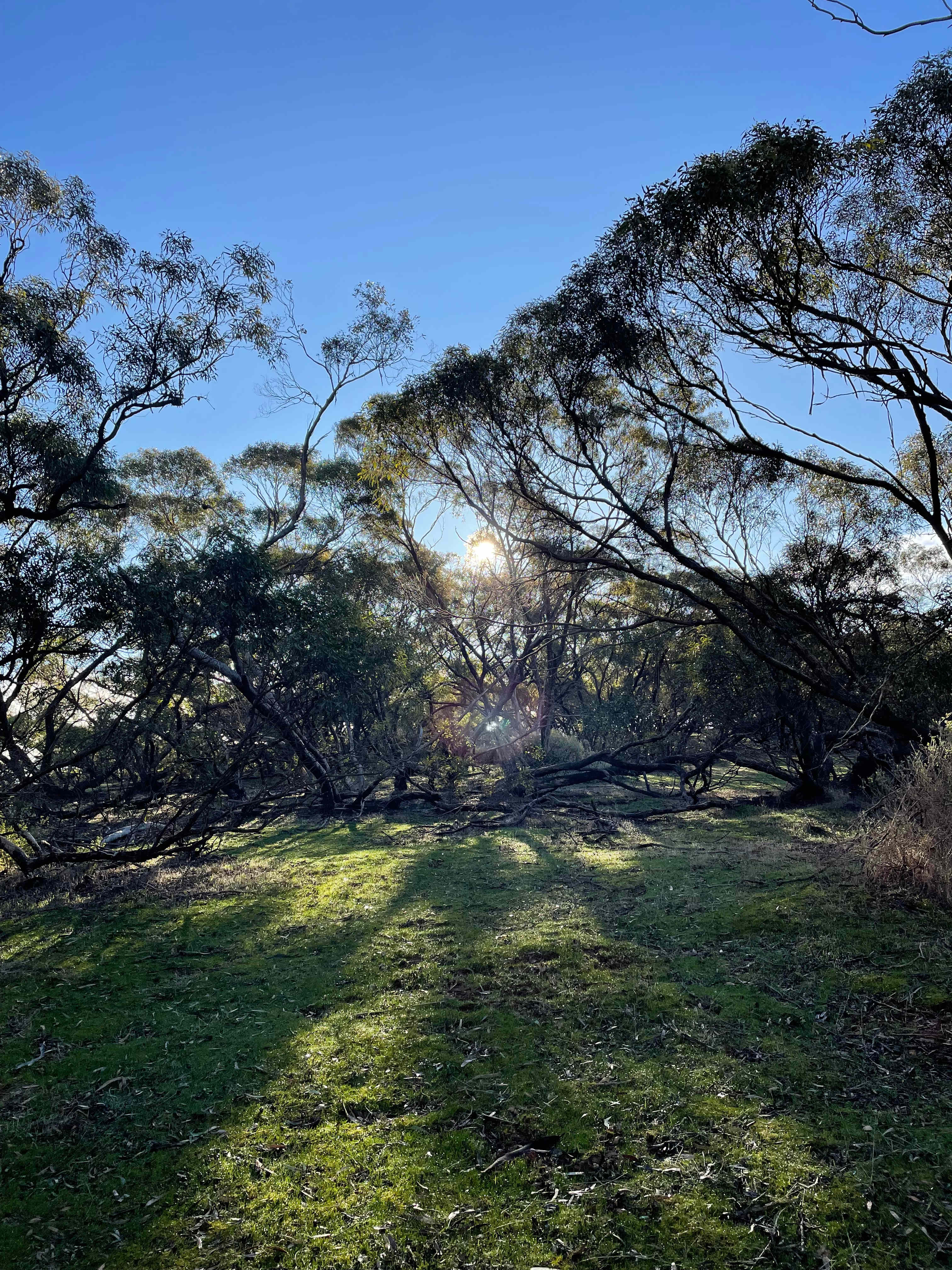 From within the campsites