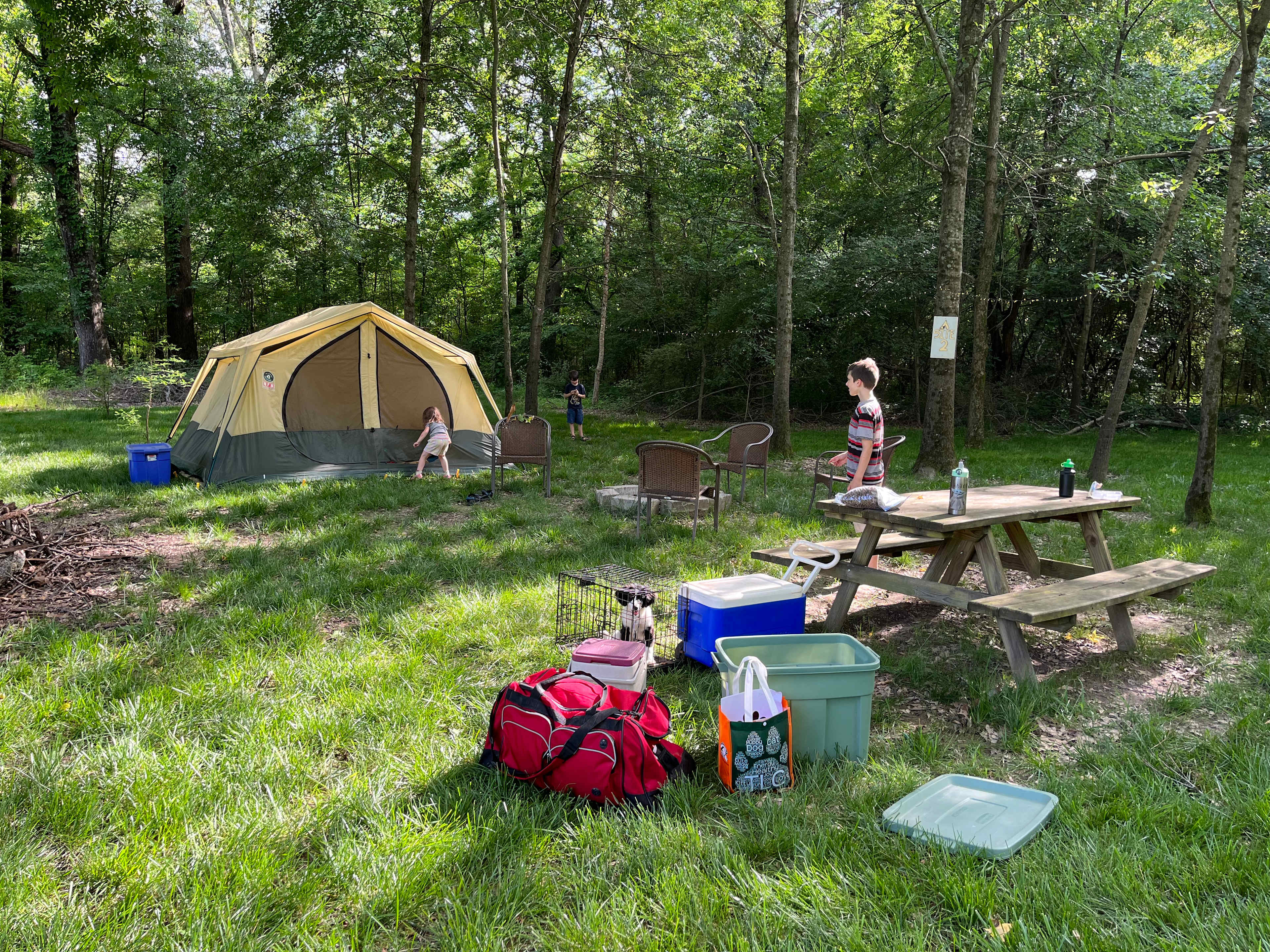 Picture of the site