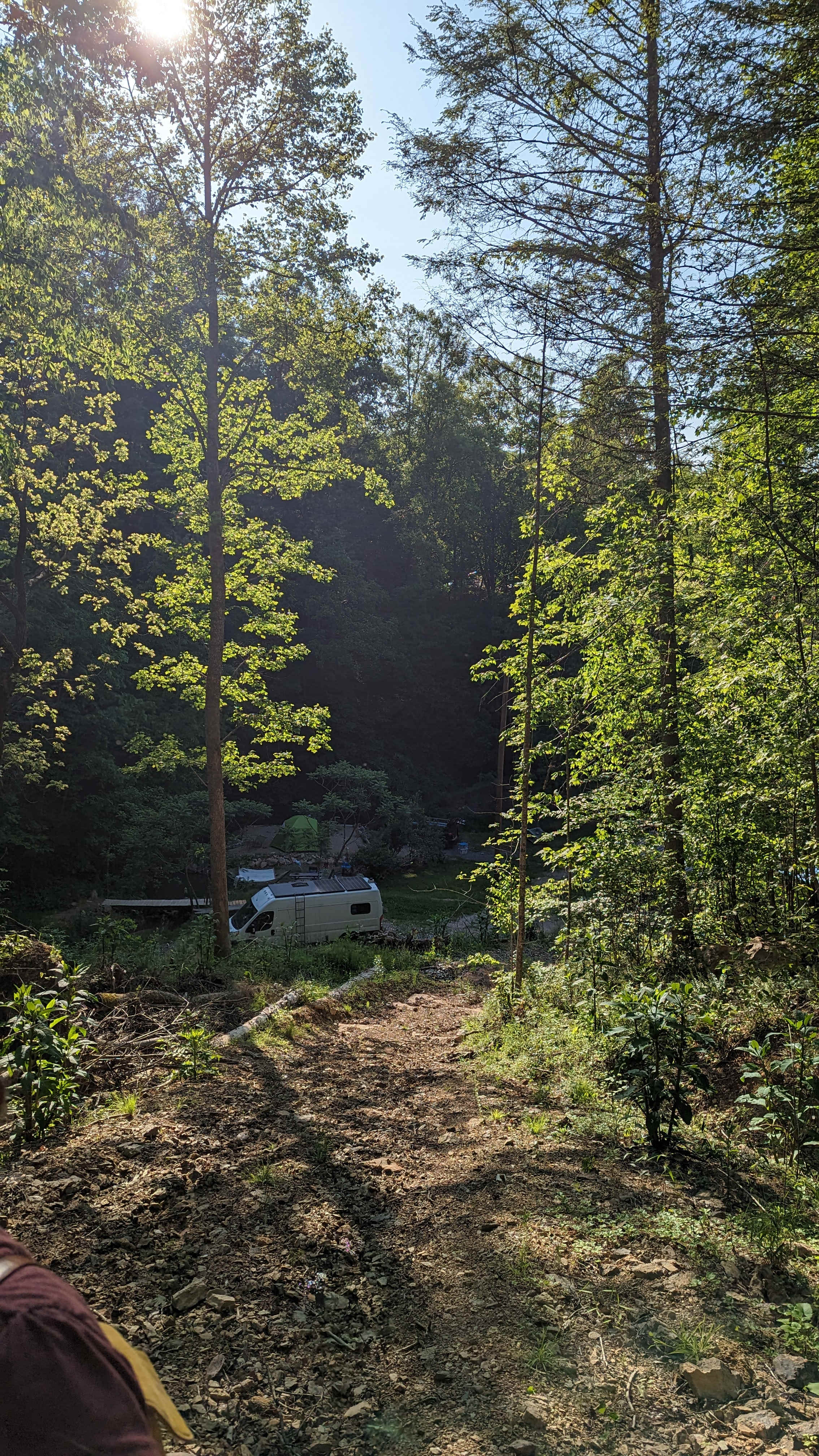 Picture of the site