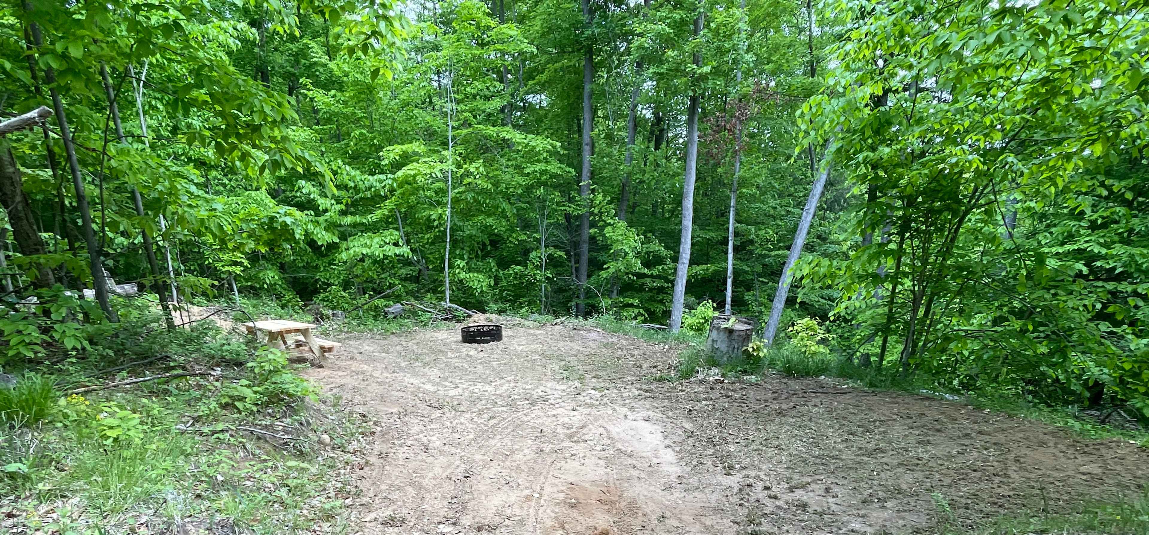 Picture of the site