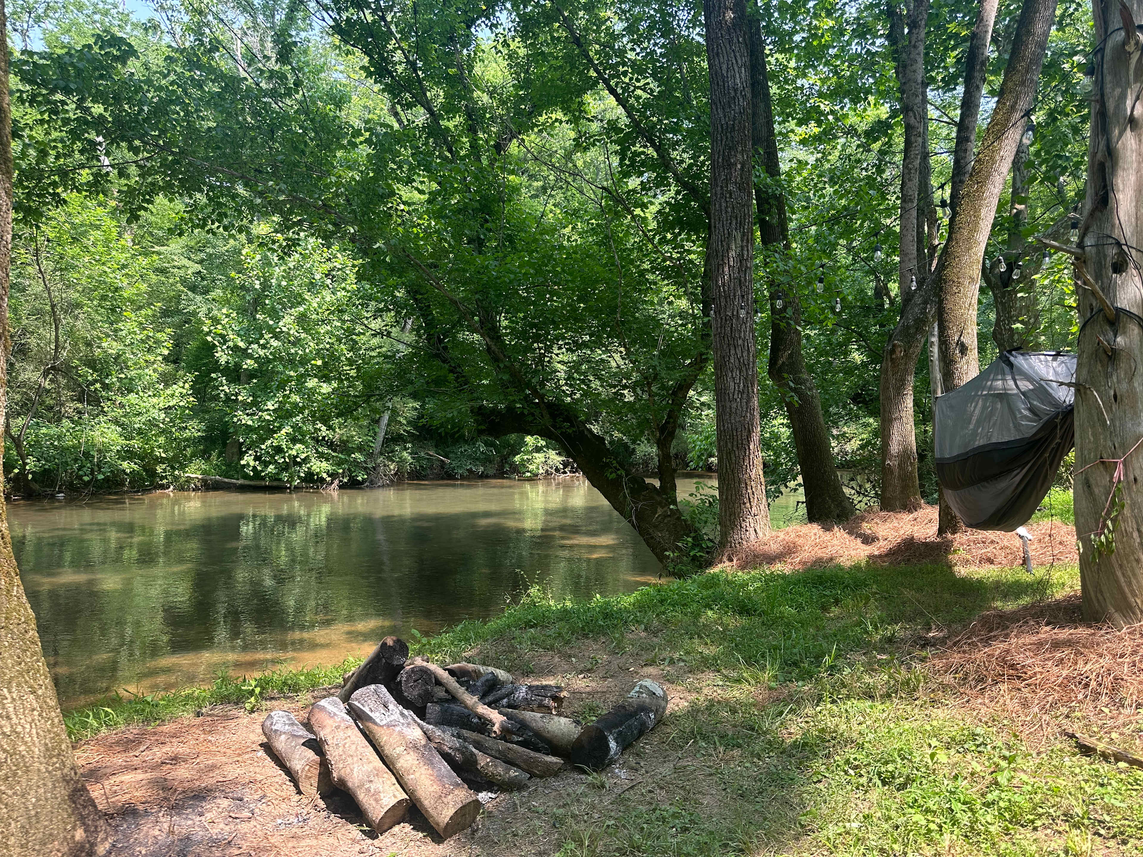 Firefly on Big Cedar