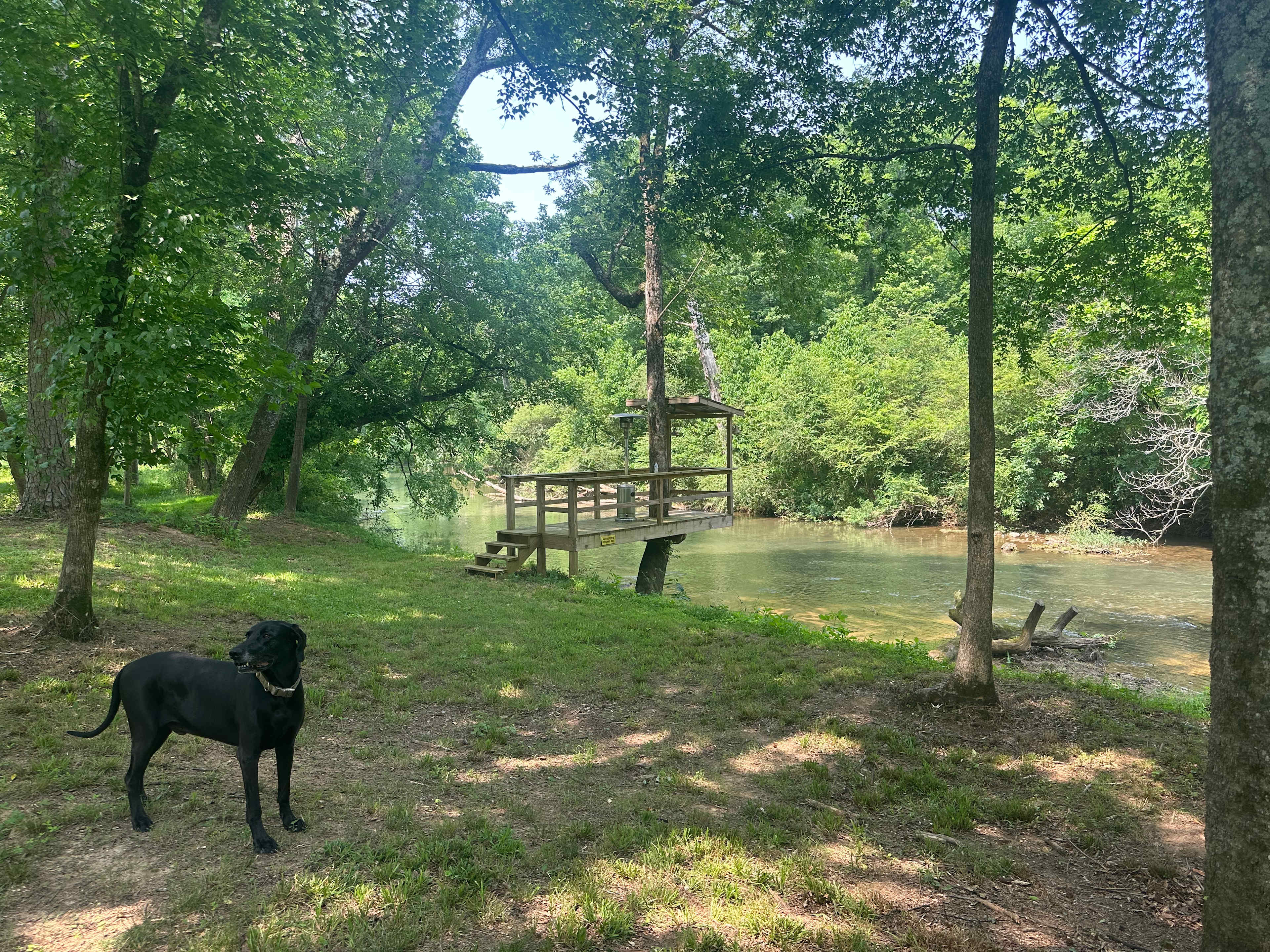 Fishing/viewing dock