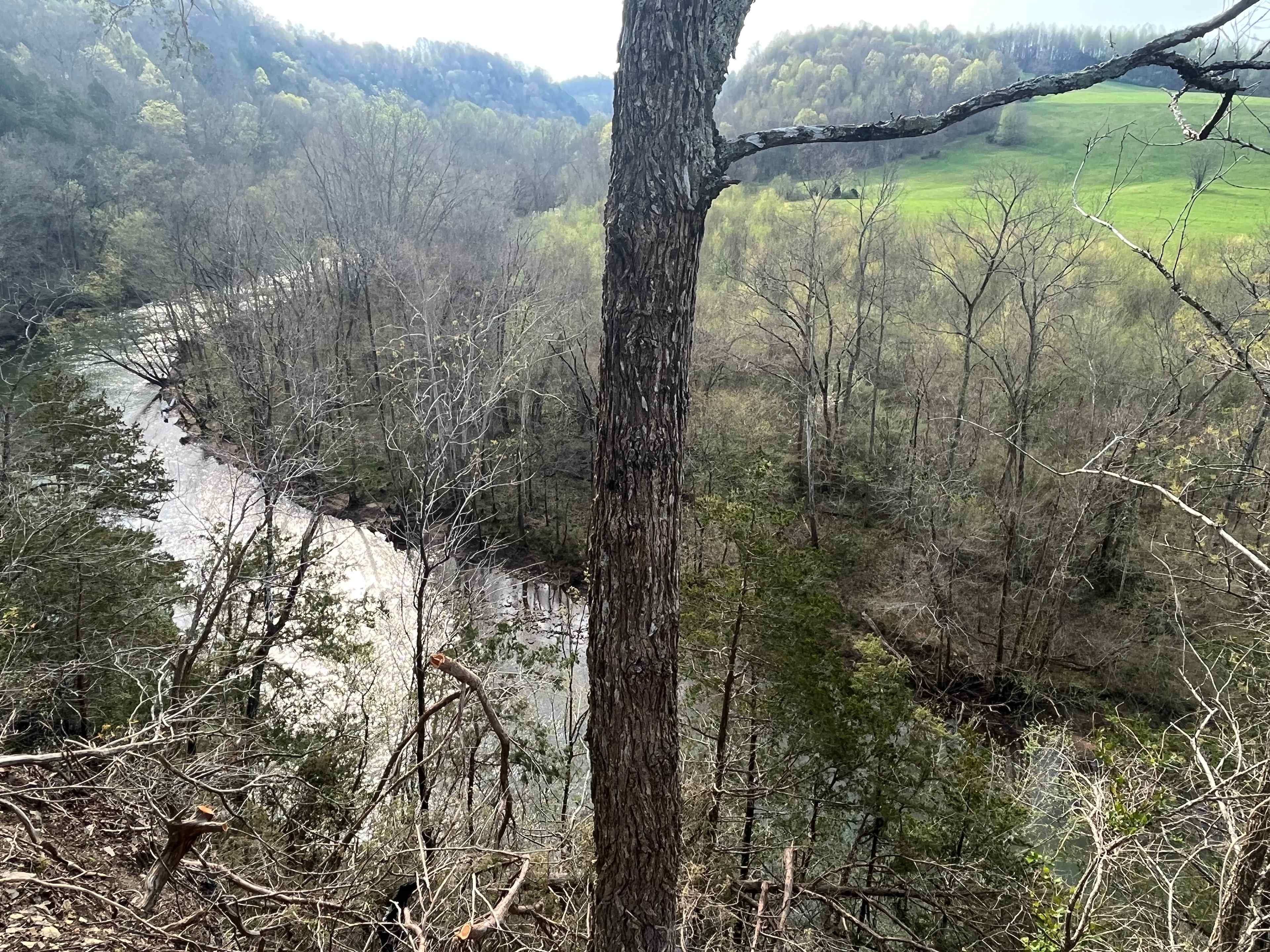 Wolf River 