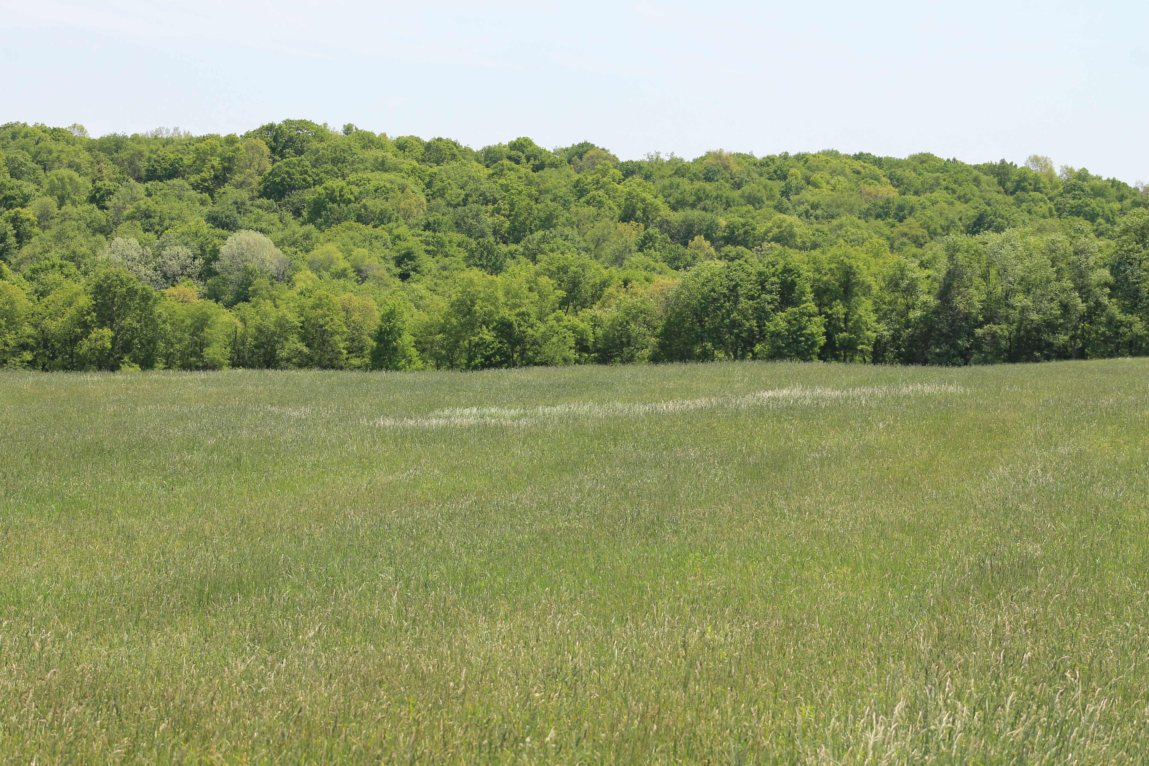 Firm Foundation Farm