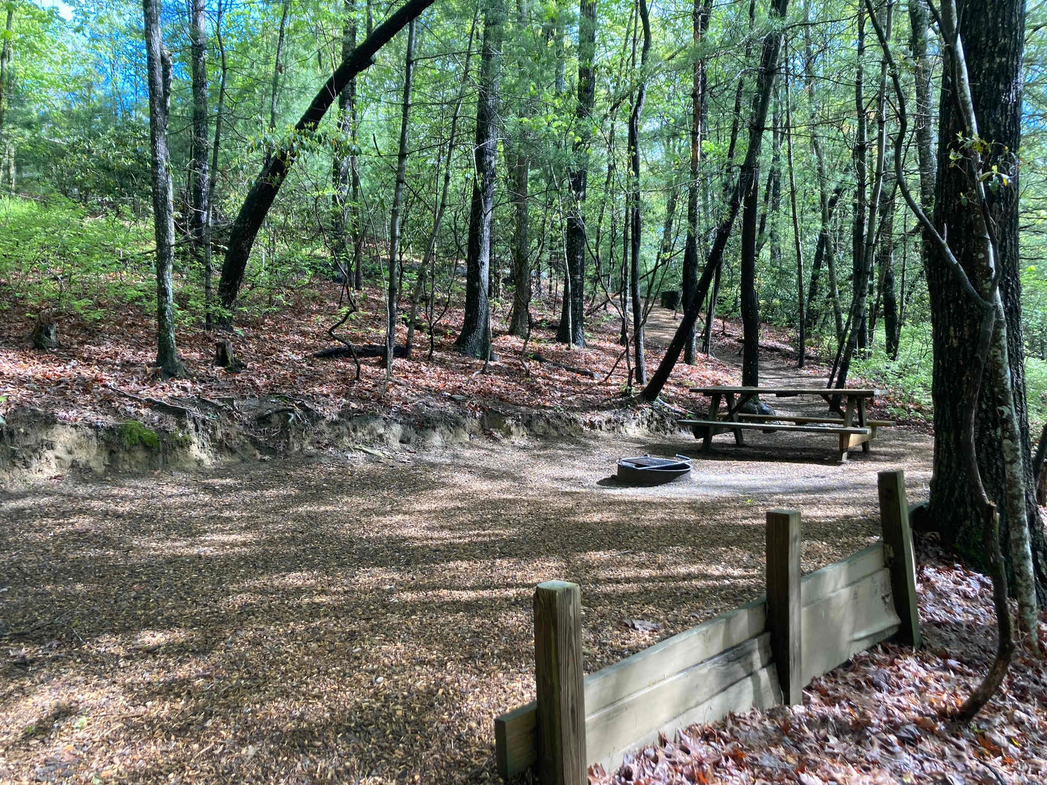 Picture of the site