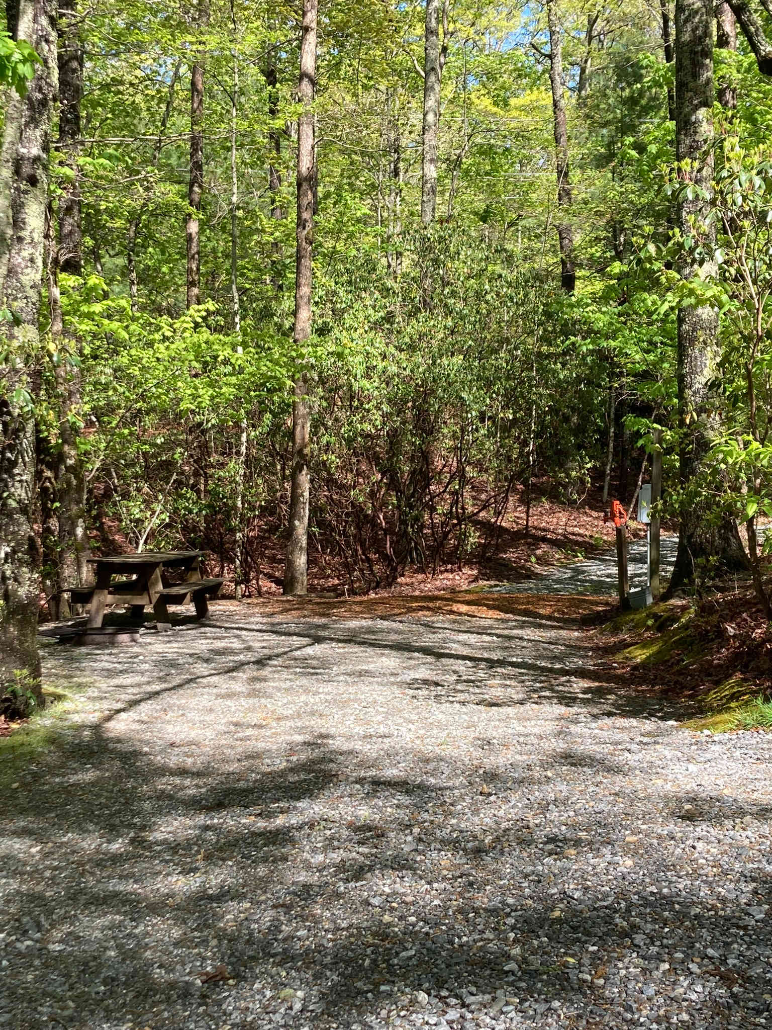 Picture of the site