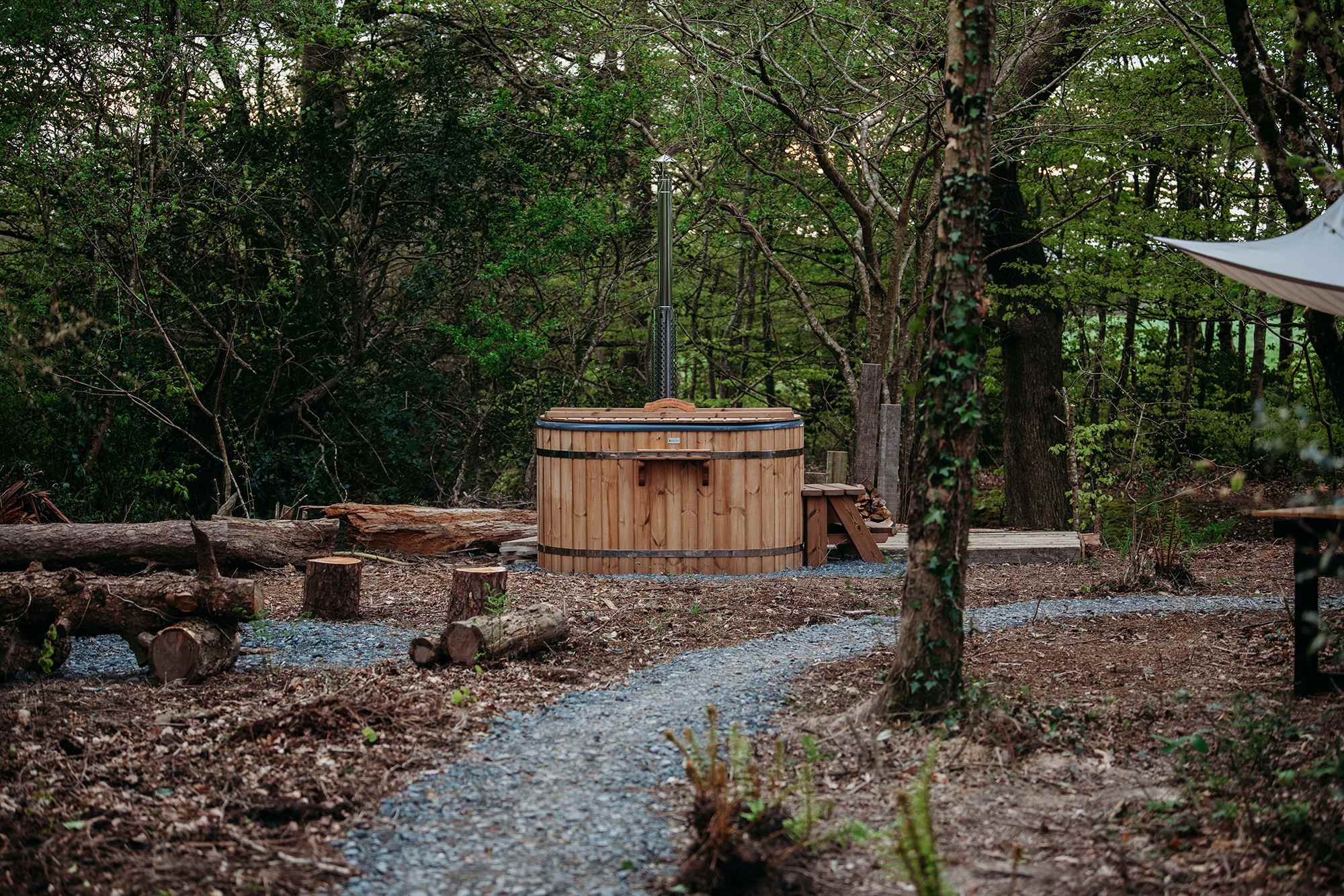 Private woodland in a shepherds hut